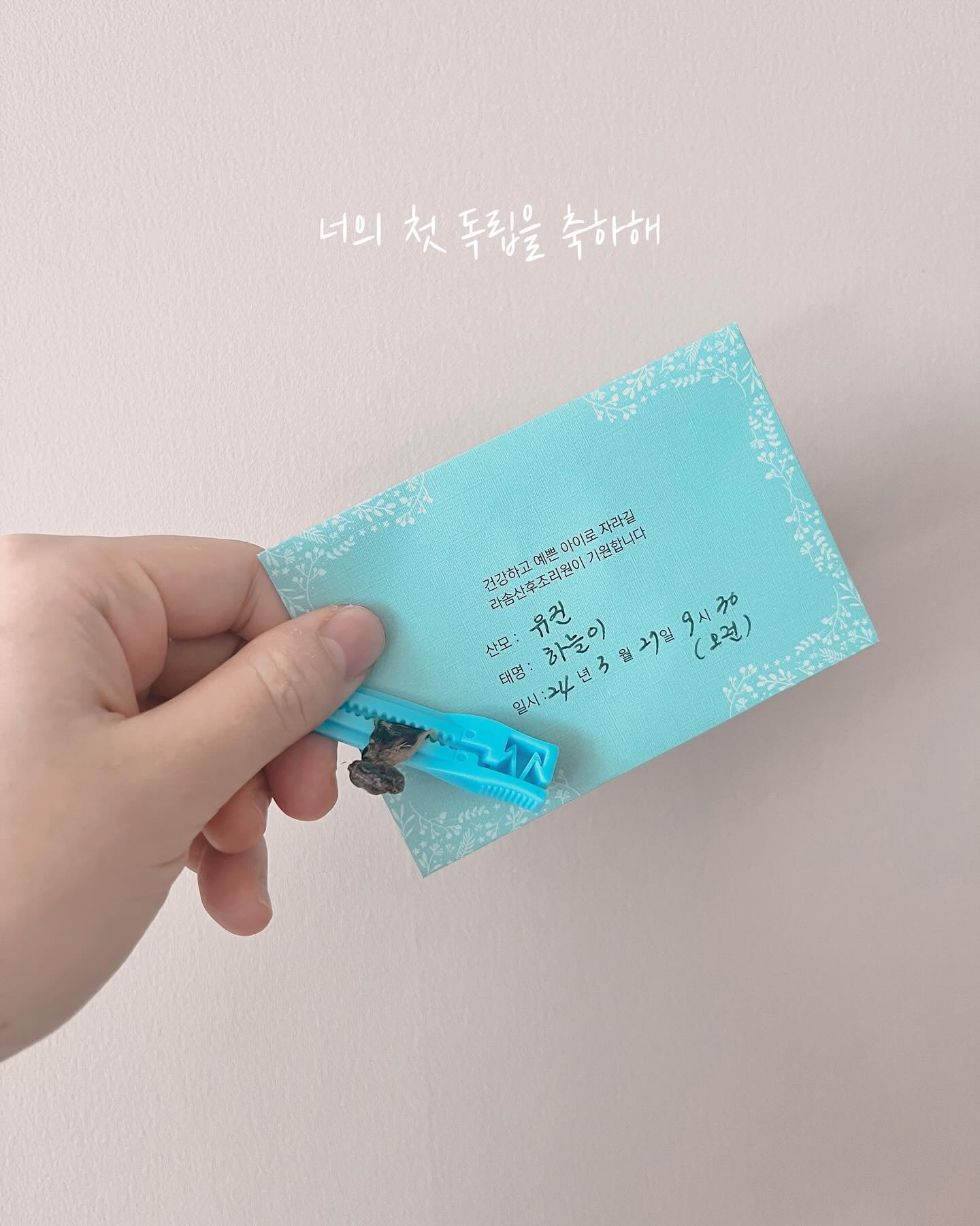 +9ᴅᴀʏs 

너의 첫 독립을 축하해!
배꼽떨어진날💕

-
--
---

#하윤하늘이네🏠 #인생9일차 #작은하윤 #배꼽떨어진날 #첫독립
