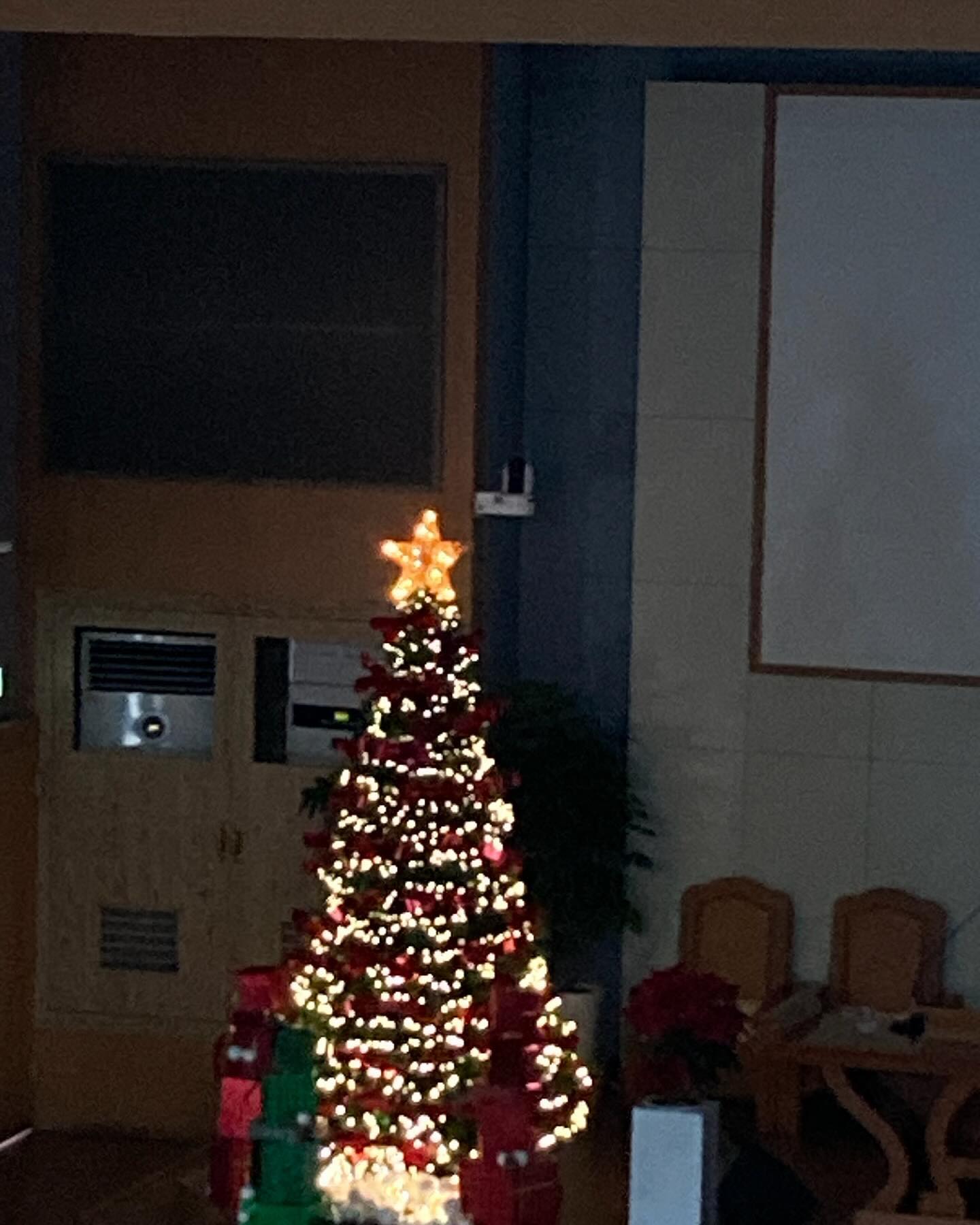 🎄