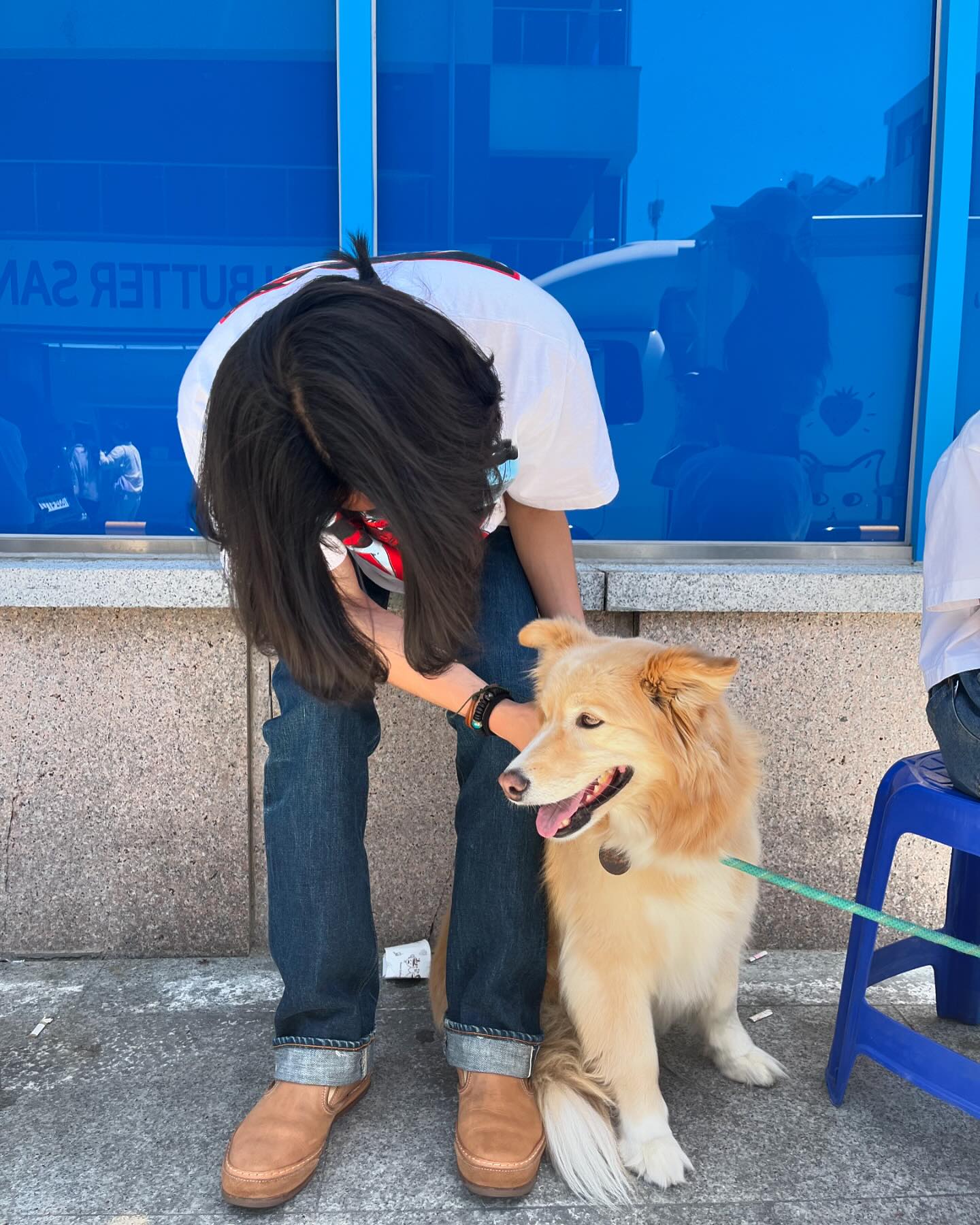 콘텐츠