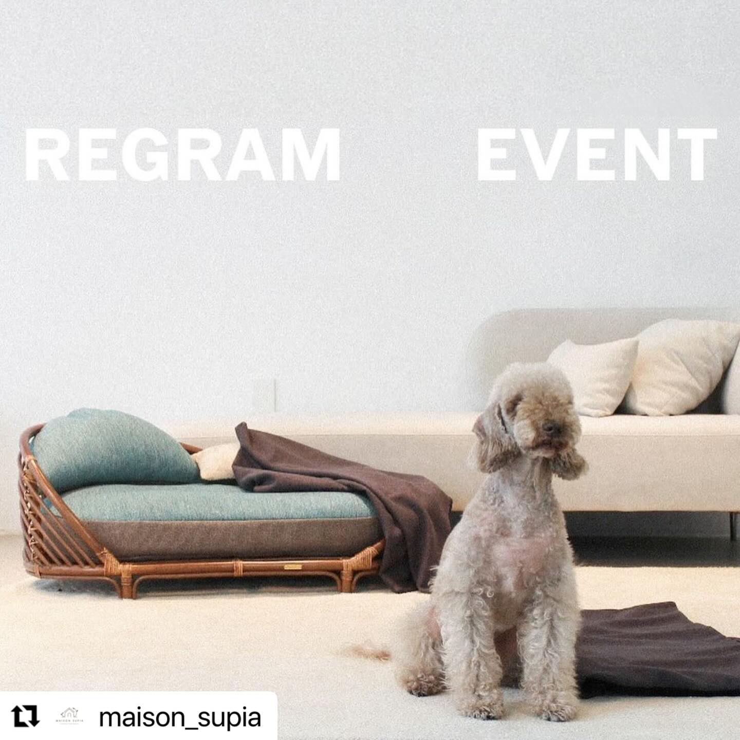#Repost maison_supia with use.repost
・・・
𝘽𝙤𝙣𝙣𝙞𝙚 𝙋𝙚𝙩 𝘽𝙚𝙙 𝙍𝙚𝙜𝙧𝙖𝙢 𝙀𝙫𝙚𝙣𝙩
⠀

메종수피아에서
오랫동안 준비한 새로운 라탄 펫베드 “보니펫베드”를 곧 선보입니다.
그리고 출시를 앞두고, 먼저 써볼 친구들을 모집합니다.
예쁘게 사용하면서 멋진 후기로 소문 많이 내줄 친구들의 많은 참여를 기다립니다 🫶🏻
⠀
🐾이벤트 선물: 총 4명
▪️보니펫베드 풀세트 (라탄프레임, 펫쿠션, 반달쿠션) : 블루 1, 그린 1
▪️보니펫쿠션 세트 (펫쿠션, 반달쿠션) : 블루 1, 그린 1
⠀
🐾참여 방법
▪️메종수피아 계정 (maison_supia) 팔로우
▪️이 게시글에 좋아요! 누르기
▪️본 피드 리그램하기
▪️이 게시글에 댓글로 원하는 컬러와 댕냥이의 몸무게를 기재하기
▪️친구 소환과 스토리에도 공유하면 당첨확률 UP!
▪️당첨된 친구는 예쁜 후기를 올려주시고, 올려주신 후기 컨텐츠는 메종수피아의 마케팅 컨텐츠로 활용될 수 있습니다 ✨
▪️비공개 계정이나 이벤트 계정은 당첨에서 제외될 수 있습니다. 
⠀
🐾이벤트 기간: 2/12 (월) - 2/15 (목) 20:00
🐾당첨 발표: 2/16 (금)
⠀
⠀
보니펫베드는요,
지속가능한 재료로 각광받는 라탄에
브라운 컬러를 입혀 기존의 에뚜왈 펫베드의 내추럴 컬러보다 더 다양한 컨셉의 인테리어에 어울릴 수 있도록 고심했어요 :)
수많은 샘플링 끝에! 가장 아름다운 브라운을 찾아냈답니다✨
⠀
에뚜왈 펫쿠션에도 사용되어 사랑을 받았던
벨기에산 이지클린 업홀스터리 패브릭에
포인트 컬러로 그린과 블루 컬러로 상큼함을 더했어요!
⠀

✔️𝙧𝙖𝙩𝙩𝙖𝙣 𝙝𝙖𝙣𝙙𝙘𝙧𝙖𝙛𝙩𝙚𝙙
✔️𝙖𝙣𝙩𝙞-𝙩𝙤𝙭𝙞𝙘 𝙛𝙞𝙣𝙞𝙨𝙝𝙞𝙣𝙜 𝙥𝙧𝙤𝙙𝙪𝙘𝙩 (𝙗𝙧𝙤𝙬𝙣 𝙘𝙤𝙡𝙤𝙧)
✔️𝙜𝙧𝙚𝙚𝙣 & 𝙤𝙖𝙩𝙢𝙚𝙖𝙡 / 𝙗𝙡𝙪𝙚 & 𝙜𝙧𝙖𝙮𝙞𝙨𝙝 𝙗𝙧𝙤𝙬𝙣
✔️𝙎 65𝙭42𝙭35 𝙘𝙢 / 𝙇 102𝙭60𝙭40 𝙘𝙢
✔️𝙖𝙣𝙩𝙞-𝙨𝙩𝙖𝙞𝙣 𝙛𝙖𝙗𝙧𝙞𝙘 (𝙊𝙚𝙠𝙤-𝙏𝙚𝙭® 𝙎𝙩𝙖𝙣𝙙𝙖𝙧𝙙 100)
⠀
에뚜왈 펫베드 스몰 사이즈도 너무 컸던 친구나
에뚜왈 펫베드 라지 사이즈가 조금 작았던 친구가
있다면 바로 보니 펫베드를 선택해주세요👐🏻
⠀

⠀
#MAISONSUPIA
#Lifestyle_from_Nature