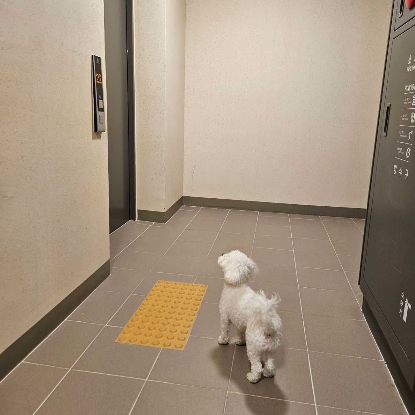 #아빠기다리는중