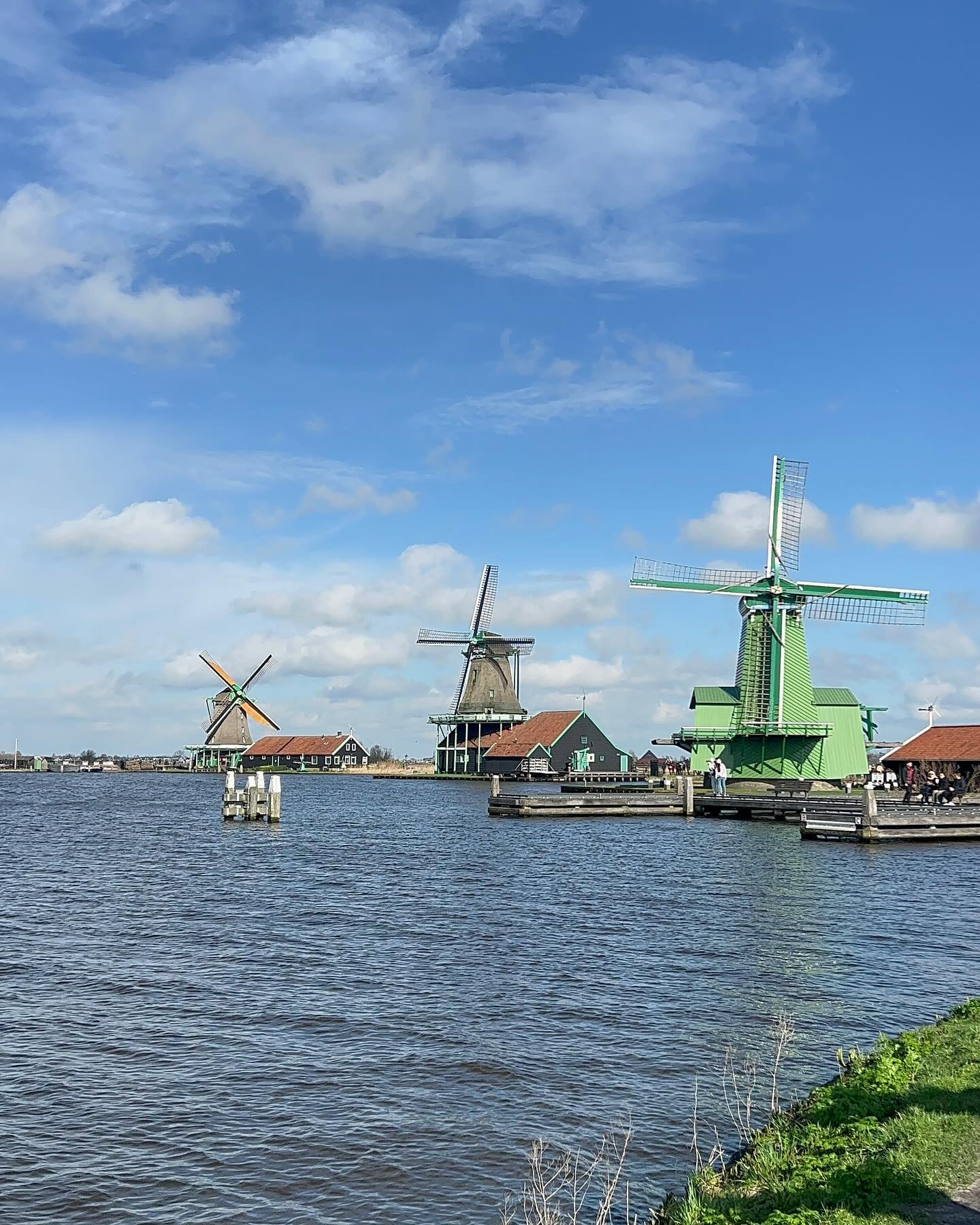 🇳🇱🌷