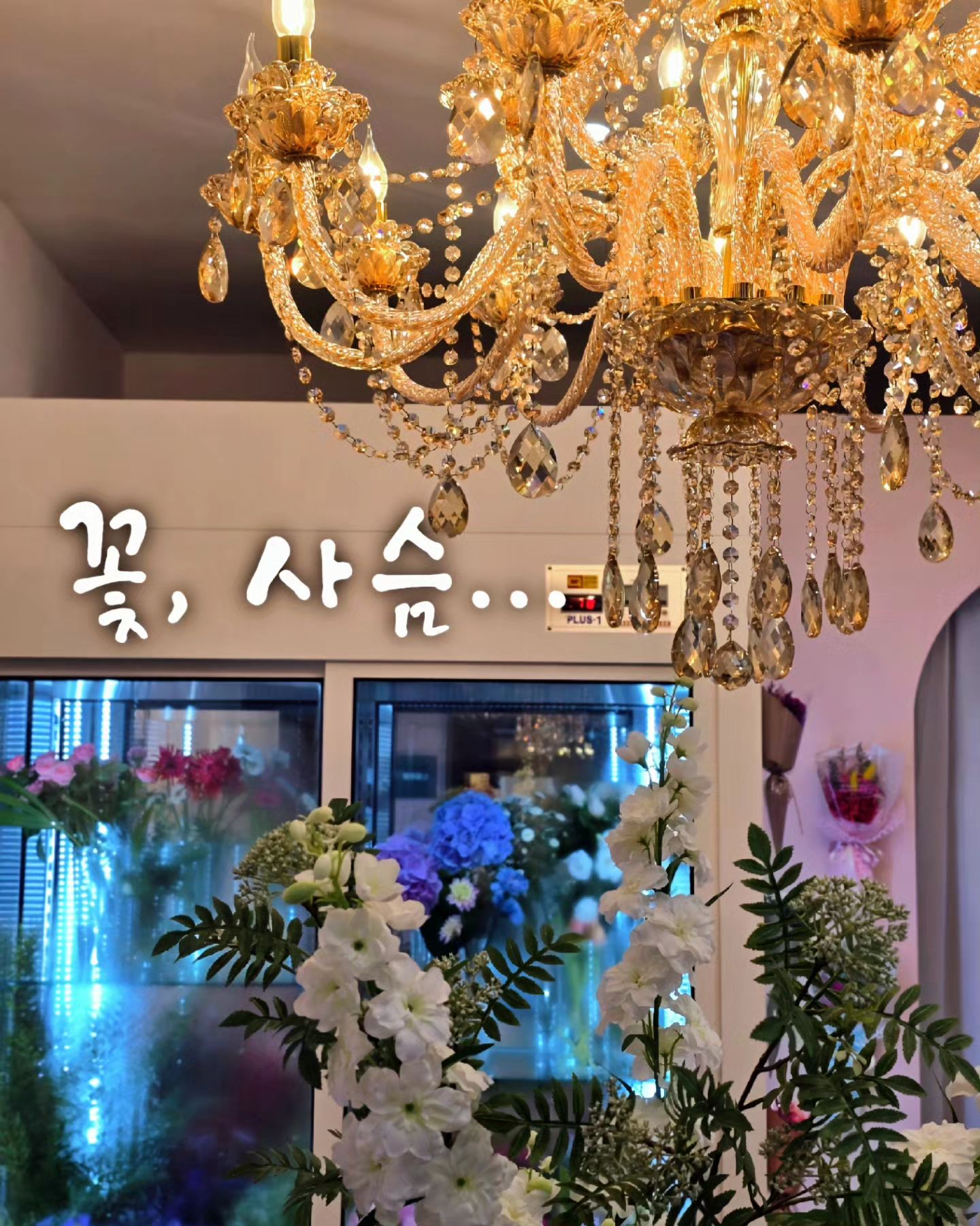 #협찬

특별한 날을 더 특별하게 만들어주는 꽃집 #꽃,사슴
특별한 날을 더 특별하게 특별하지 않은날에도
특별하게 만들어주는게 꽃이 아닌가 싶어요

꽃구경은 가도 꽃선물 받는경우는 드물죠 그래서 나는
가끔 나한테 꽃선물을 하곤해요
꽃화병에 꽃을 꽂아 집에 놓는것 만으로도 화사해지고
볼때마다 기분이 좋아지죠

다양한 꽃들과 다육이가 있어서 집들이 선물하기에도 
좋고 수유역세권인 5분거리에 위치해 있어서 접근성도
좋으니 꽃보러 오세용~❤️
꽃다발, 꽃바구니도 가능하고 개업선물로 화분도 많으니
기분 좋은 선물이 되리라 생각됩니다

저도 몇일전에 아기를 낳은 지인에게 축하선물로 꽃다발
선물했네요 너무 좋아하더라구요^^ 
좋아하는거보니 저도 너무 기분이 좋아지네요

📍 꽃 사슴
서울 강북구 한천로139가길 16 1층 101호
⏰️ 월.수.목 10:00 - 21:00 (매주 화요일휴무)
 금.토.일 10:00 - 20:00
☎️ 0507-1331-7041
🚘 주차가능⭕️ 매장옆 1대 가능
✔️ 인스타 _deerflower

.
.
.
.
.
#수유#수유동꽃집#꽃집#수유리꽃집#수유역꽃집
#미아역꽃집#꽃선물#꽃다발#다육이#기분좋은선물
#강북구청꽃집#협찬