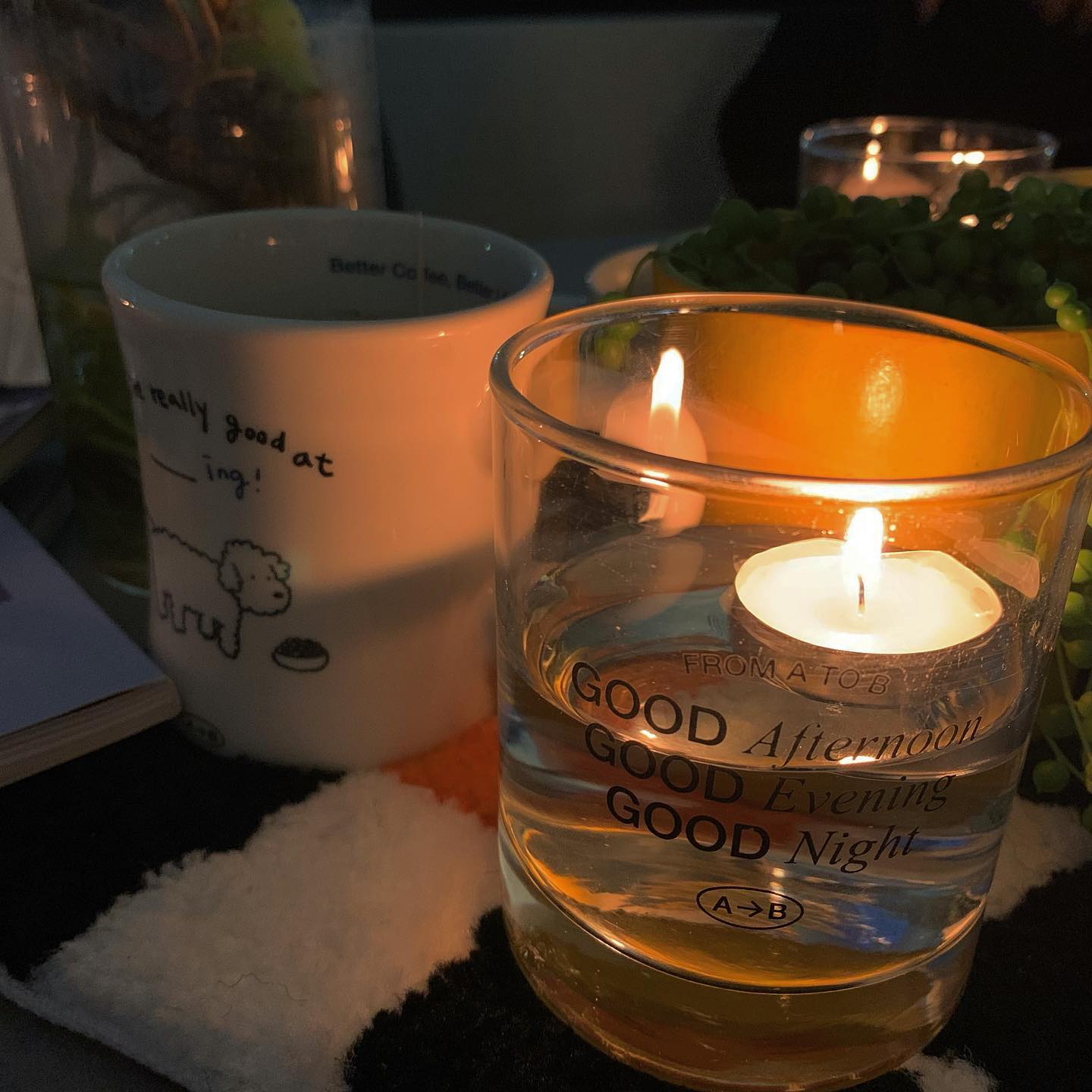 피곶치가 뭐게요 ☕️