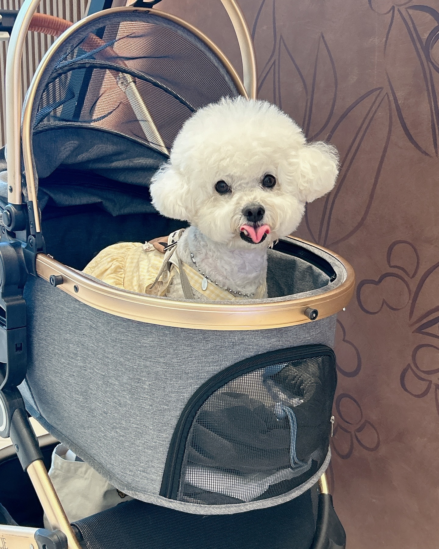 -

사랑둥이 내새꾸 덕분에 행복해 ℒᵒᵛᵉ ᵧₒᵤ .•ᰔᩚ