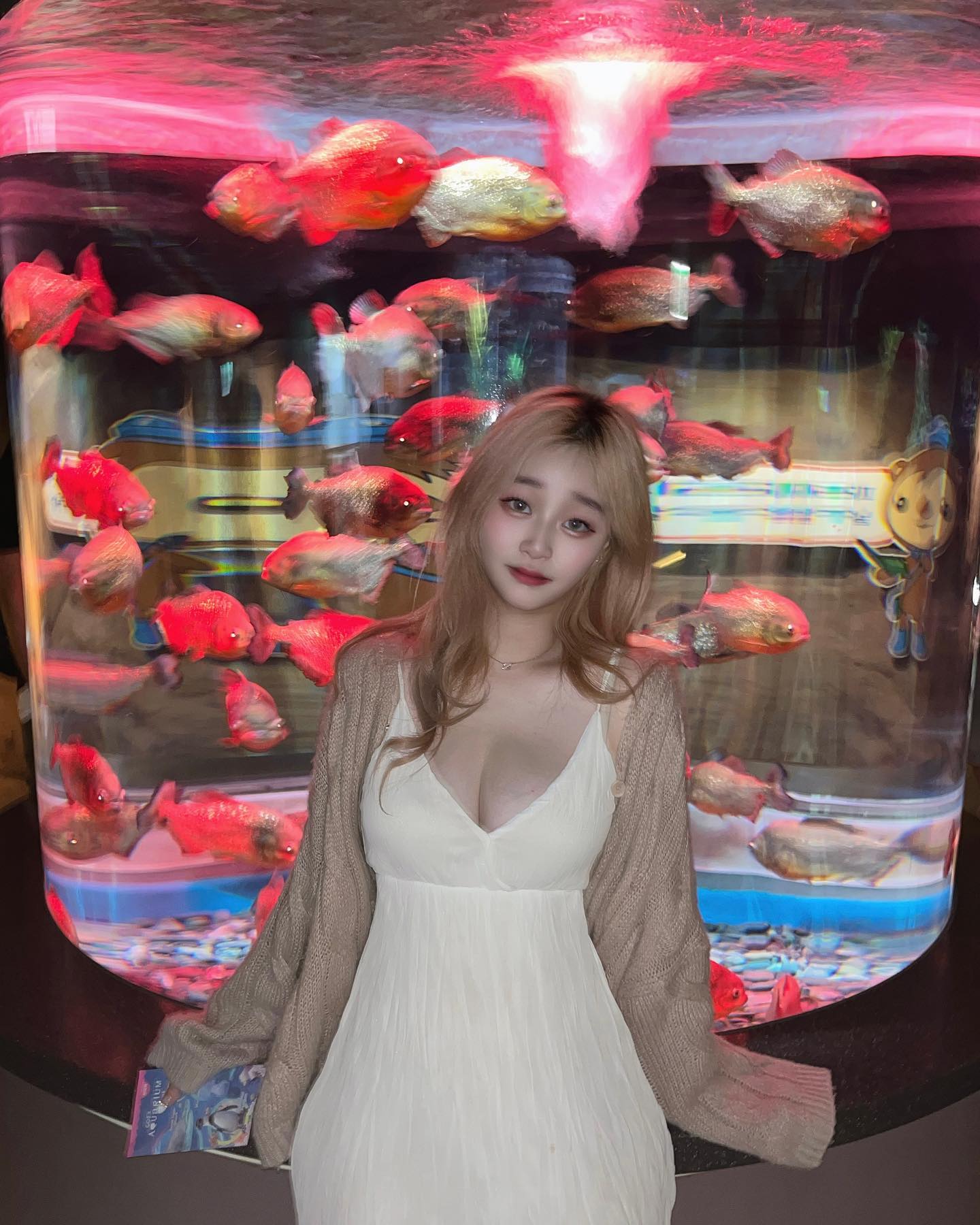 난 이너공쥬👸🏻