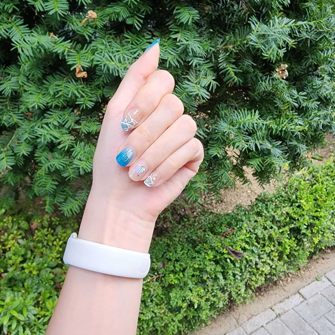 콘텐츠