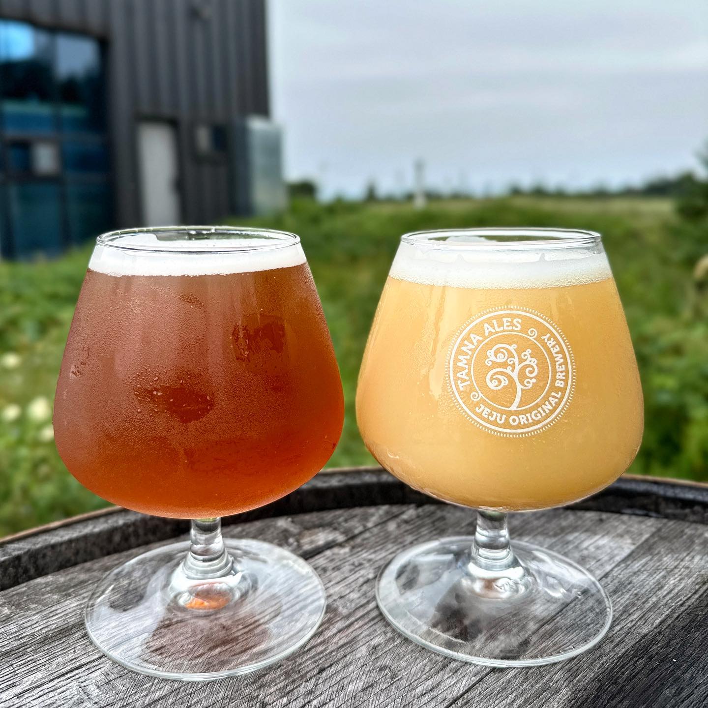 NEW IS ALWAYS BETTER
NEW ENGLAND IPA
뉴올베 IPA

ABV 6.7%
IBU 30

트렌드에 민감한 요즘, 수년간 트렌드에 앞장서있는 스타일의 맥주가 있습니다. 
변화와 진화를 거듭하여 홉의 강한 캐릭터와 음용성을 모두 잡은 NEW ENGLAND IPA

aleian.brewing 과 함께한 old & new 프로젝트

tamna_ales 의 IPA
뉴올베 IPA를 소개합니다.
#peaceout 🤙🏾
