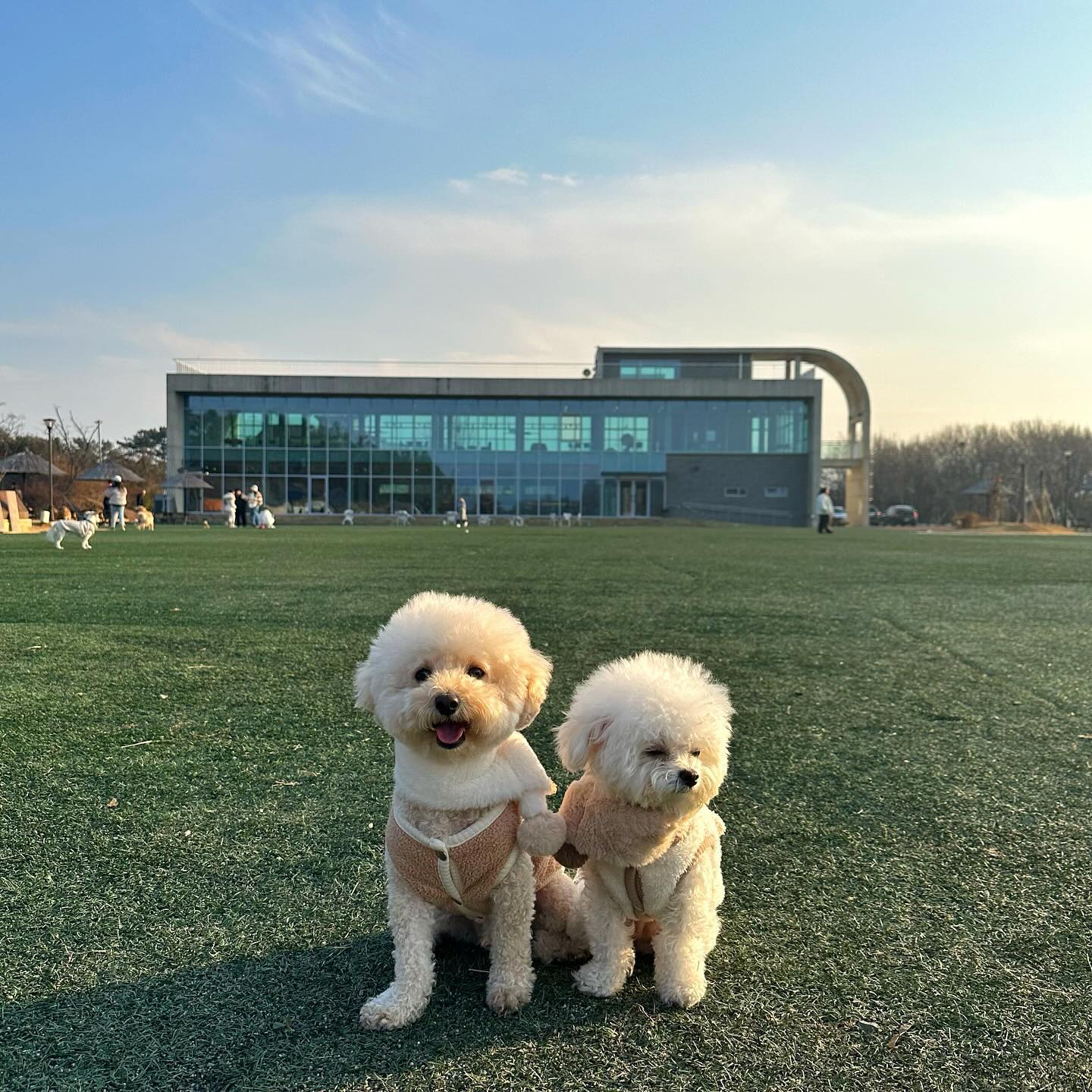 🐶🐶

예쁜사진건질수 있었는데!!!
뽀야 협조안해줌 🤣🤣 이제 익숙해질때 되지않아쓰까힝 💖
내일도 애카가서 신나게 놀아보쟈 🫶🏻🩵

비오는 토요일 🌧️촉촉하게 
울 사랑스러운댕댕이들이랑 보냅씨댜✨