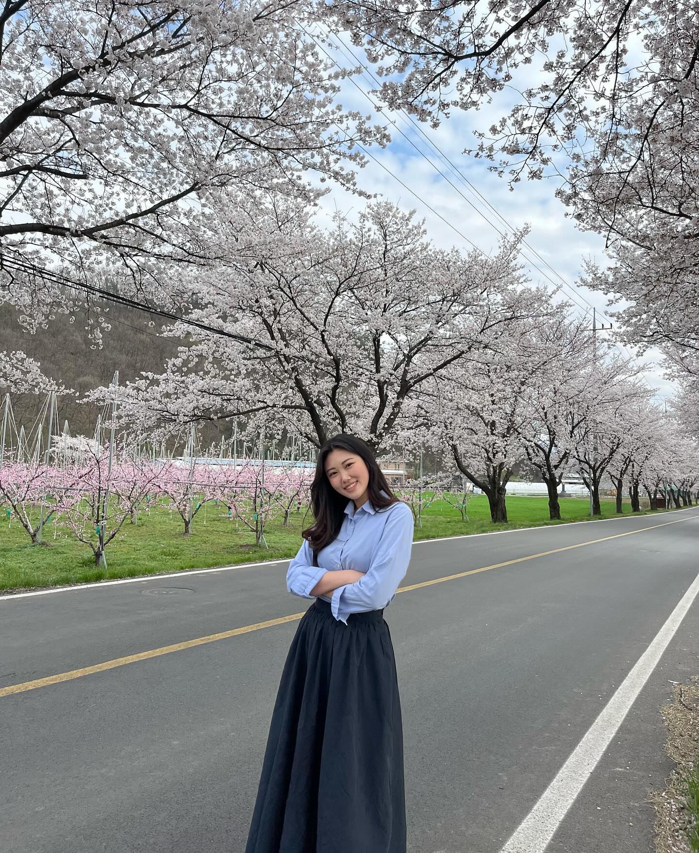 🌸🌸🌸🌸🌸
.
.
#청도벚꽃터널 #벚꽃명소 #대구근교벚꽃 #청도벚꽃