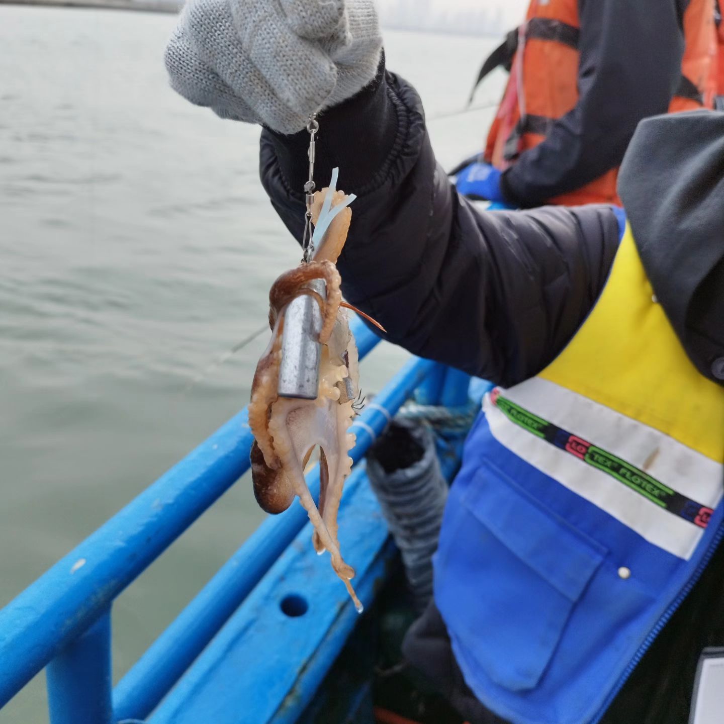 새벽에 일어나 인천 쭈꾸미 낚시 ㅋ
아들이 몇 마리 직접 잡아 봤으니 이제 손맛을 알겠지~
내년엔 같이 종일배로~ㅋㅋ
나는 갑오징어도 잡았지~
룰루랄라~~

.
.
#쭈꾸미낚시 #인천낚시 #갑오징어낚시 #인천여행