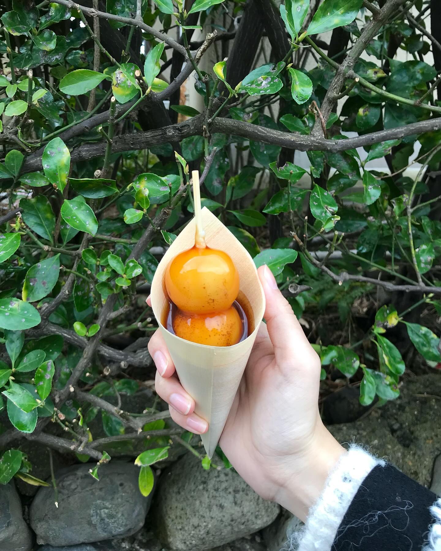 🥯 오사카 교토 디저트 맛집 Best 4 🥯

1️⃣ 코토이모 본점 🍡
📍2-1 Sagatenryuji Tateishicho, Ukyo Ward, Kyoto, 616-8375 일본
▫️매일 9:30~18:00 , 당고 ￥290

치쿠린 입구에 있는 대왕 당고집!! 
줄이 늘 길게 서 있고 편의점에 파는 당고보다 훨씬 크고 
쫀득쫀득하고 따끈해요,,♥ 소스도 완전 매력적!
일본하면 당고 아니겠습니까🍡 

2️⃣ 르 크루와상 🥐
📍일본 〒542-0085 Osaka, Chuo Ward, Shinsaibashisuji, 2 Chome−7−25 新古美術 佐久間
▫️매일 11:30~21:00 

여기는 .. 다른 데 안 가도 여기는 꼬옥 가주세요 ,,🥹
크루와상 진짜 핵 맛집이고!! 
초코 크루와상 대박 맛나고,, 카라멜도 맛있고,, 
크루와상 5개에 ￥250! 하나에 50엔..♥ 가격까지 최고 맛집입니다
여기 진짜 제 인생 크루와상집 💗

3️⃣ 아라비카 교토 히가시야마 (%커피)
📍87-5 Hoshinocho, Higashiyama Ward, Kyoto, 605-0853 일본
▫️매일 9:00~18:00

아라시야마 말고도 청수사 가는 길에 응커피가 있어요!
아라시야마보다 줄도 훨씬 적고 제가 갔을 땐 웨이팅 없었어요
교토라떼 강추☕ 교토 대표 커피 맛집 🖤

4️⃣ 10円パン センタースポット 
📍1 Chome-2-3 Namba, Chuo Ward, Osaka, 542-0076 일본

난바에 십엔빵을 팔아요!!
하나에 500엔으로 저렴하진 않지만 치즈 가~~아득 진짜 맛있어요
하나 냠 먹으면서 난바 구경하면 시간 순삭이라구요 🤭
10원빵 말고 10엔빵 어떠세요? 

🍰 피드에 오사카 교토 맛집 Best 3도 있답니다 ♥
🍰 더 많은 정보를 알고 싶다면 akong_tour 팔로우!

#아콩_해외 #아콩_일본