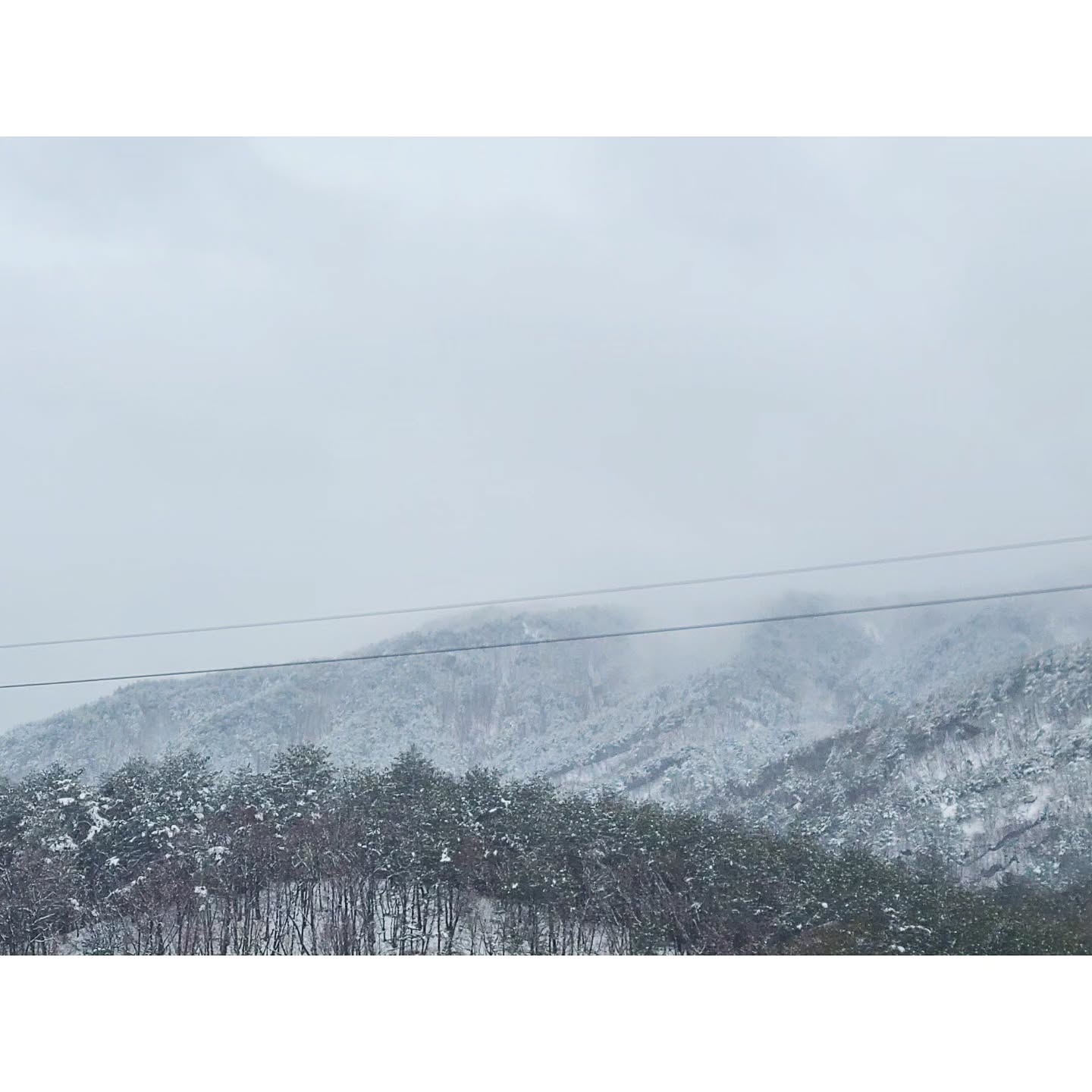 #날씨운지지리없는..

연말부터 바다보고싶었는데
일때문에 참다참다 폭발해버려서 냅다 갔는데
이게..몬 날씨인가요..눈소식에
설마설마 했는데 폭설?! 
진짜..울고싶다...ㅜㅜ
ㆍ
ㆍ
#날씨운없음 #폭설 #현실판겨울왕국 #속초여행 #버텨보자ㅜ