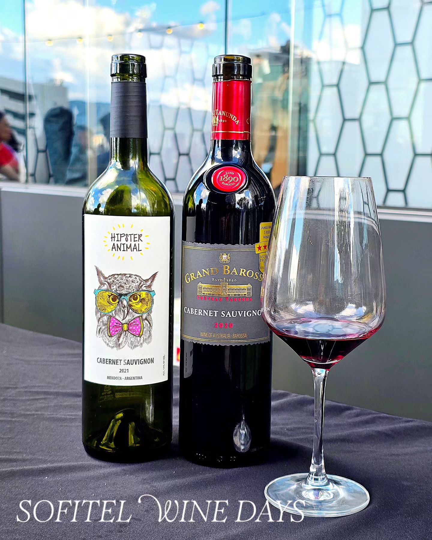 #행사초대 𝐒𝐎𝐅𝐈𝐓𝐄𝐋 𝐖𝐈𝐍𝐄 𝐃𝐀𝐘𝐒 🍷
파리지앵 라운지 레스파스에서 열린 와인 시음회!
소피텔 와인 데이즈 행사에 다녀왔어요오 😻♥️

100여 종의 와인을 맘껏 즐길 수 있는 점도 좋았고,
무엇보다 가을 바람이 선선하게 불어서 기분이 최고👍
(가을은 와인 마시기 넘나 좋은 계절🍁🍂!)

여러 부스들 중에서도 저의 메인은 젠니혼주류🎵

가성비 좋은 "제이키퍼 블랑드블랑 드미섹"
호주의 유일한 아파시멘토 기법 와인 "세카투르"
패트롤 향이 부담스럽지 않았던 "건 메탈"
힙한 라벨이 매력있는 "힙스터 애니멀 까쇼"
이 가격에 이 퀄러티라니 대박! 싶었던 "마야카바"

총 30여 종의 젠니혼 수입 와인들을 시음해 볼 수 있었구~
넘넘 매력있는 와인들이 가득이었더래요😁🍷🍷

디같이 모여 신나게 수다수다 웃음팡팡!!!
힙스터 애니멀 까쇼랑 그랜드 바로사 까쇼에
맛있는 뇨끼랑 새우구이 곁들여서 순삭순삭ㅋㅋㅋ🤭 

주말에도 일정이 full 이라 정신이 없었는데
여기 가서 가을가을함을 제대로 느끼며.....♥️
좋은 분들과 함께 해서 완죤 해피했습니다아
이 날 만난 모든 분들 정말 반가웠다요

좋은 행사에 초대해 주셔서 다시 한 번 감사드림!!!

#소피텔#소피텔앰배서더서울#와인데이즈#와인행사#젠니혼주류#가을#가을날씨#석촌호수#석촌호수데이트
sofitelseoul
zennihon.wine
