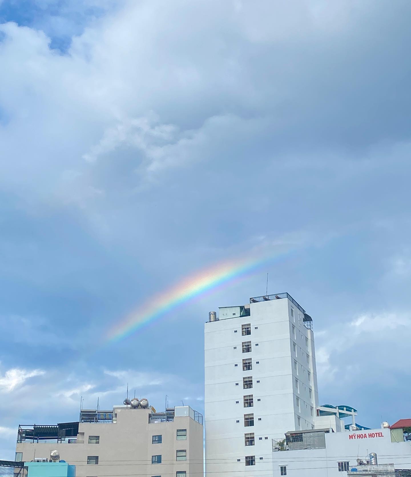 🇻🇳

1.소나기오고 선명했던 무지개

2.3. 해파리

4.아미아나 다들 이쁜사진 저기서 찍는데 난 열심히 화장안하고 놀아서 남긴 호떡누르기같은 풍경

5.초장이 생각나는 굴

6.남들 다 맛있다고 볶음밥

7.여러 웰컴티 중 하나

8.한국사장님이 먹어보라고 해서 소주대신 소주처럼 먹다가 죽은 보드카

9.젤 예쁜 길냥이

10.마지막 날 불금 시내