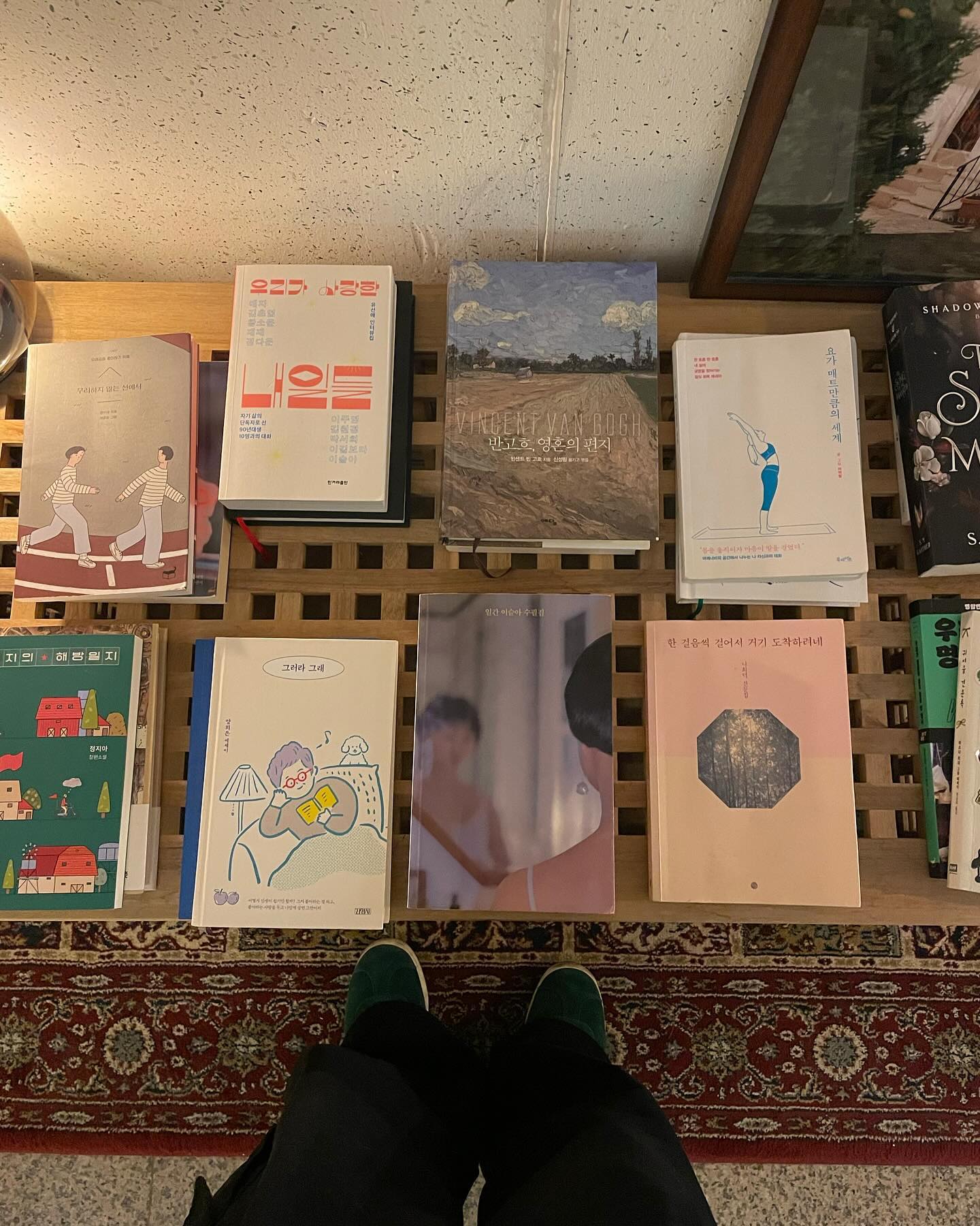 작고 하찮은 사진 모음집 ✌🏻
