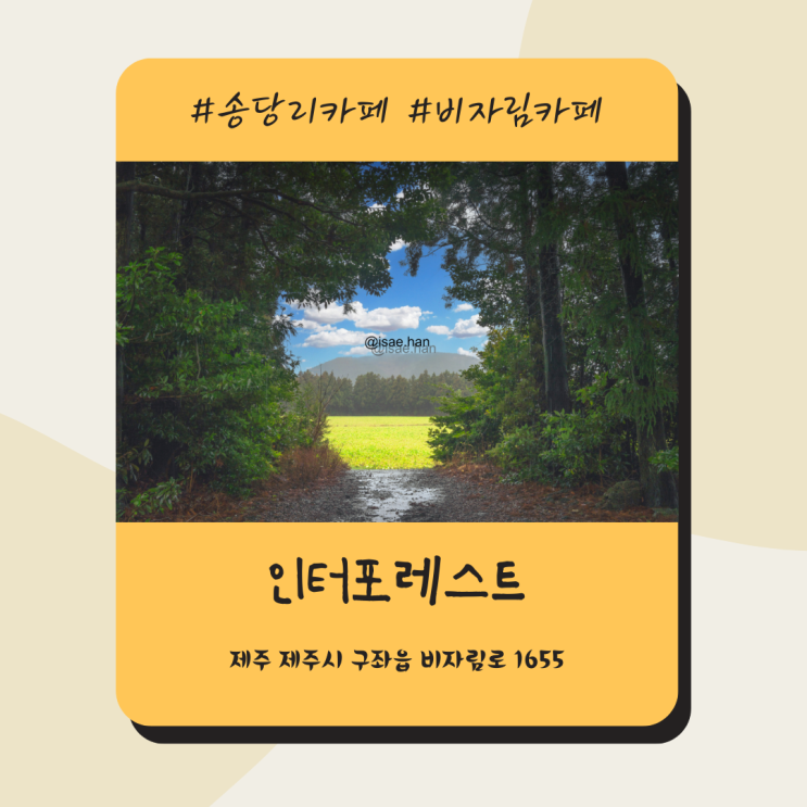 송당리 송당무끈모루숲 인터포레스트카페 제주도 포토스팟
