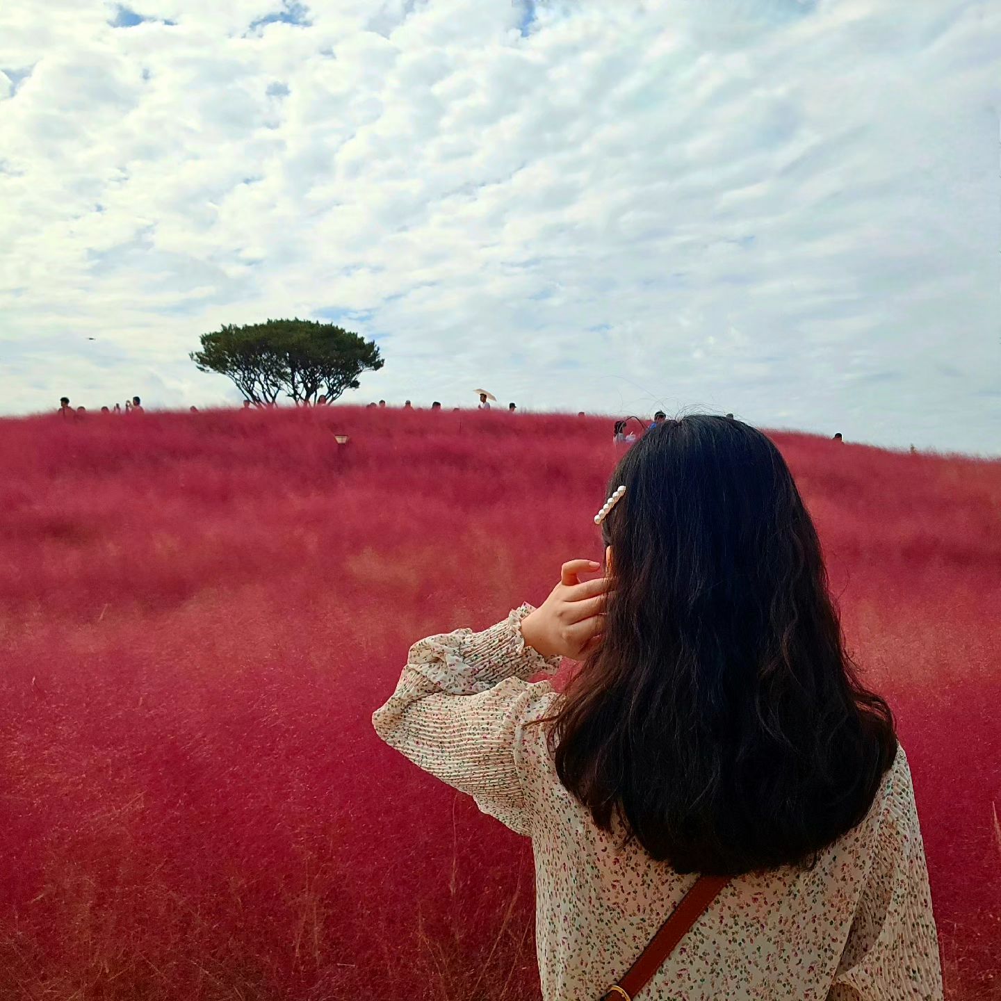𝒫𝒾𝓃𝓀 𝓂𝓊𝒽𝓁𝓎🌷