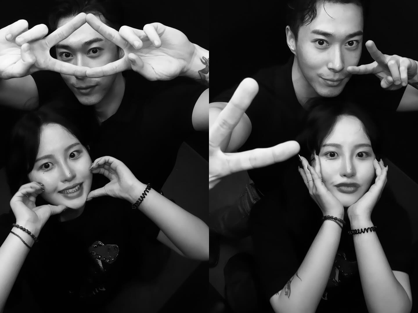멋쟁이랑 멋쟁이 사진