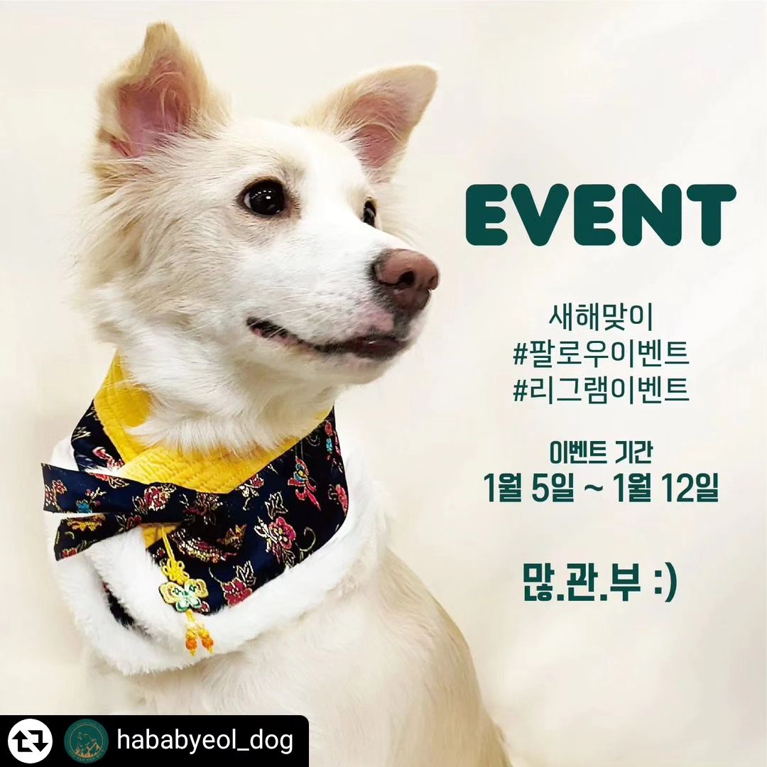 #리그램 - hababyeol_dog by get_regrammer
안녕하세요😊
지리산 하늘과 바람과 별과 개 입니다 :)

2024년 새해를 맞이해
이벤트를 진행하려 합니다!

사부작사부작 만들던
반려견 악세사리들을 나눔합니다!
많은 관심과 참여 부탁드립니다🙏

🔸️이벤트 상품
🥇1등 한복 목도리 1명
🥈2등 리본+인식표 세트 2명
🥉3등 동백 풉백 파우치 3명
🏅4등 리본 4명
(리본은 사진에 있는 제품 외에도
하바별개 인스타에 있는 모든 제품으로
선택 가능합니다)

🔸️이벤트 참여방법
-지리산 하바별개 hababyeol_dog 인스타 팔로우 하기
-해당 이벤트 게시물 리그램 하기
-해당 게시물 좋아요 꾹! 누르고 참여완료 댓글달기
-댕댕친구들 3명이상 소환하면 당첨 확률 up!up!!

🔸️이벤트 참여기간
-1월 5일 ~ 12일 오후 6시 까지
🔸️당첨자 발표
-1월 15일 월요일 중

🟡당첨자는 인스타 or 블로그 리뷰 작성 필수!!

🔴비공개 계정, 이벤트 계정은 제외합니다

🟡한복 목도리 및 다른 악세사리는
프로필 하단 링크 달꽃상점, 스토어에서 구매가능합니다.