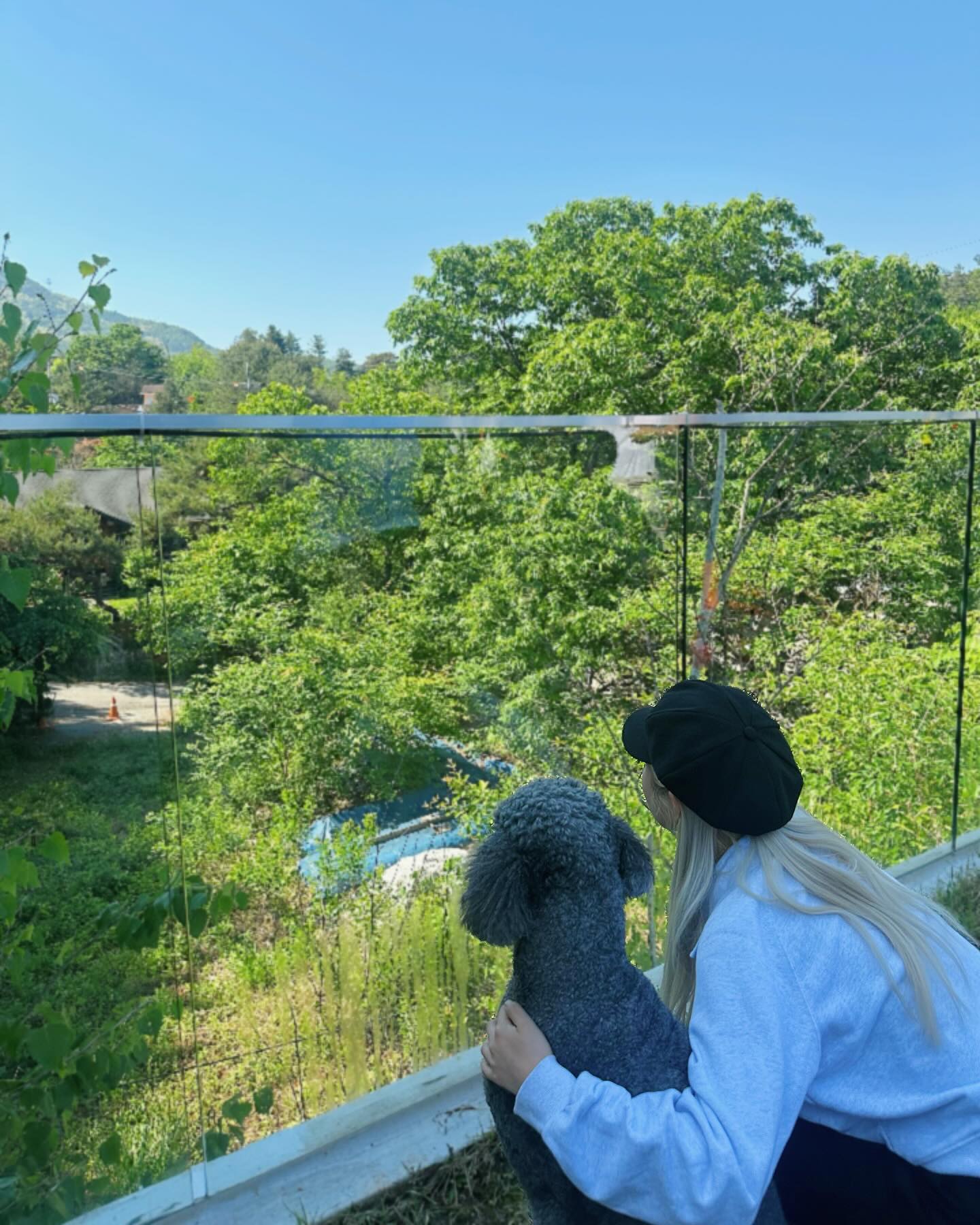 나의 친구들과 함께 - 🐩🐡

Ps. 얼굴가까이 하니까 볼에 뽀뽀해주는 붕어친구
