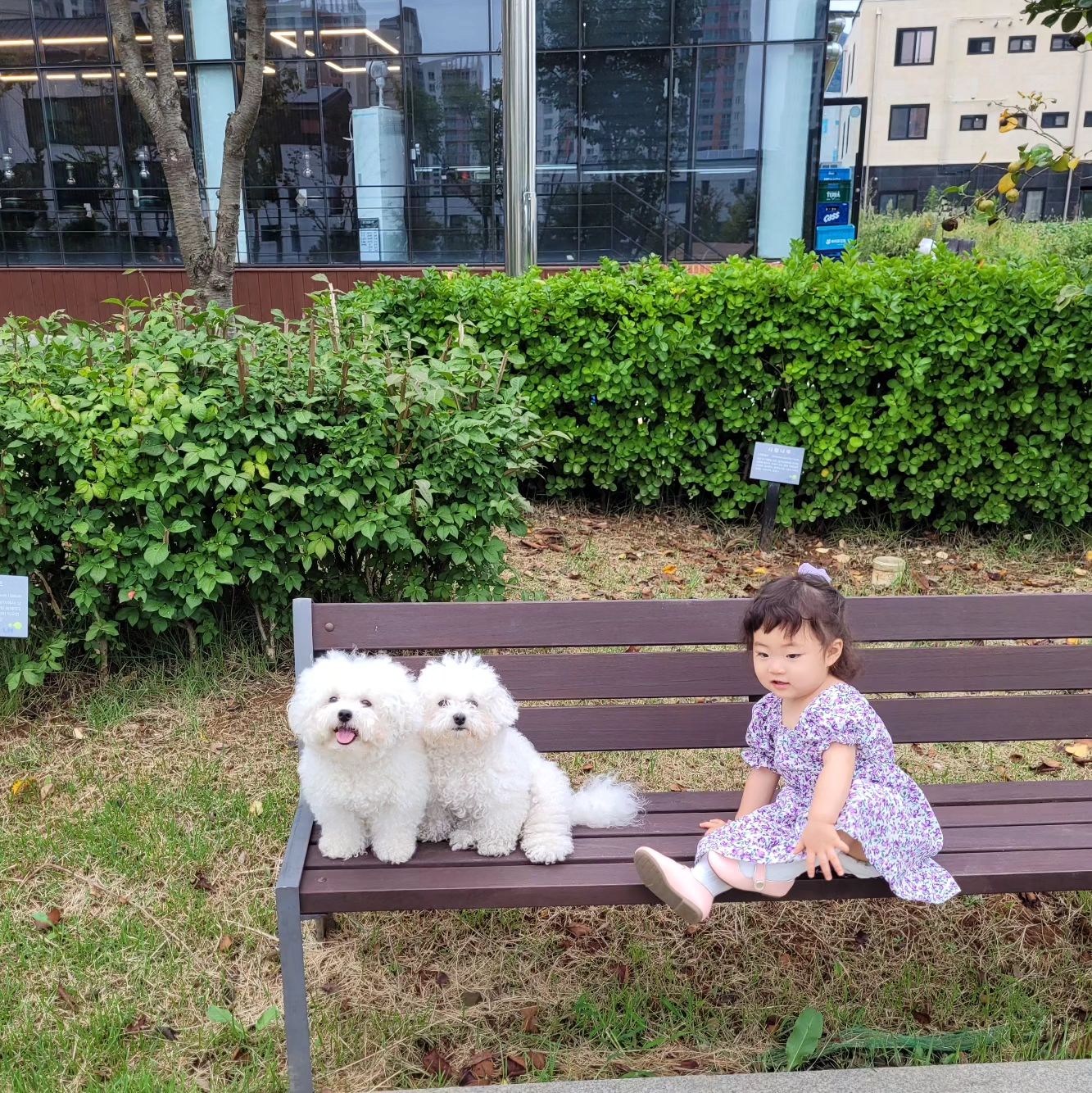 우리 기쁨이 엊크제 생일이였는데
육아한다는 핑계로 케이크도 못사주고
엄마가 미안해 ,,,ㅠㅠㅠ오늘도 미안하고
젤 1순위였던 우리 기쁨이
요새 자꾸 뒤로 미루고 있는것 같지만
아직도 우리 기쁨이 처음처럼 그보다 더
항상 엄마가 많이 사랑하고 있어
담주엔 이쁘게 미용하고 룰룬랄라하자

#비숑#비숑프리제 #비숑미용#애개육아