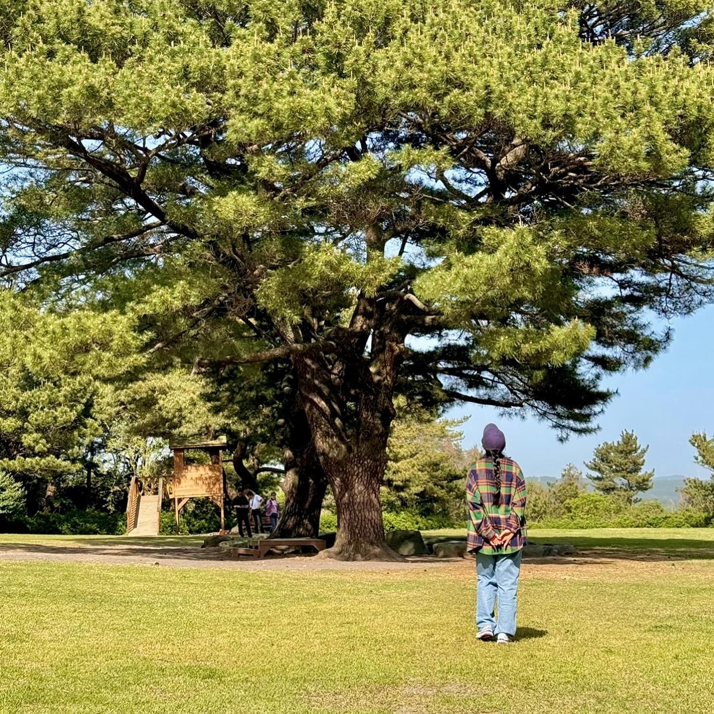 🌳🌳🌳

쉬는 날, 짝꿍과 함께 야외걷기 할당량 채우러
한 주 동안 갔던 곳 중 가장 좋았던 상효원 수목원 🌿
지금은 봄꽃 축제 중이라, 이쁜 꽃과 창창한 나무들
바라보고 좋은 공기 마시며 돌아보면 그저 힐링 💚

벌써 4월이 끝나고 5월의 첫 날이라니
벌써 D-83,,,이라니 🙄🙄 달려보즈앗!

5월도 즐겁고 건강하게 보내보아요 ꈍ◡ꈍ

#유니의제주라이프