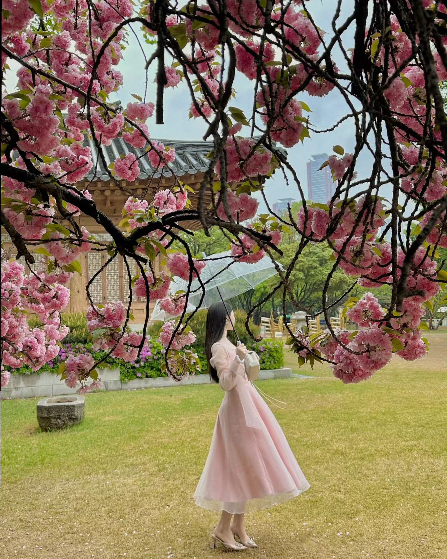 안녕 꽃 피었던 4월 🌸🌸🌸

#겹벚꽃 #꽃놀이