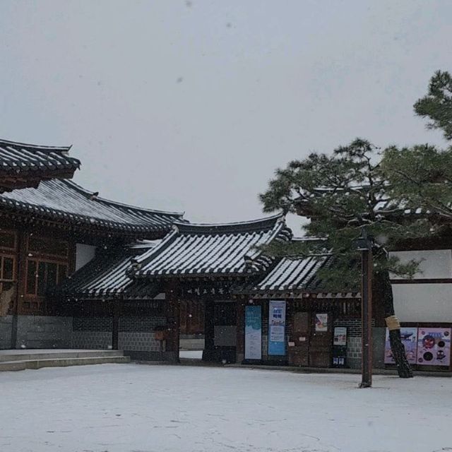 생활기록자 on Instagram: "#협찬 눈오는날 데이트 ❄️ #행궁동카페 #카페도화 에 갔어요. 포근포근 눈내리는 날 고요한 도화시간 #도화드립백 도화그립까지 카페도화에 빠져보는 #행궁동데이