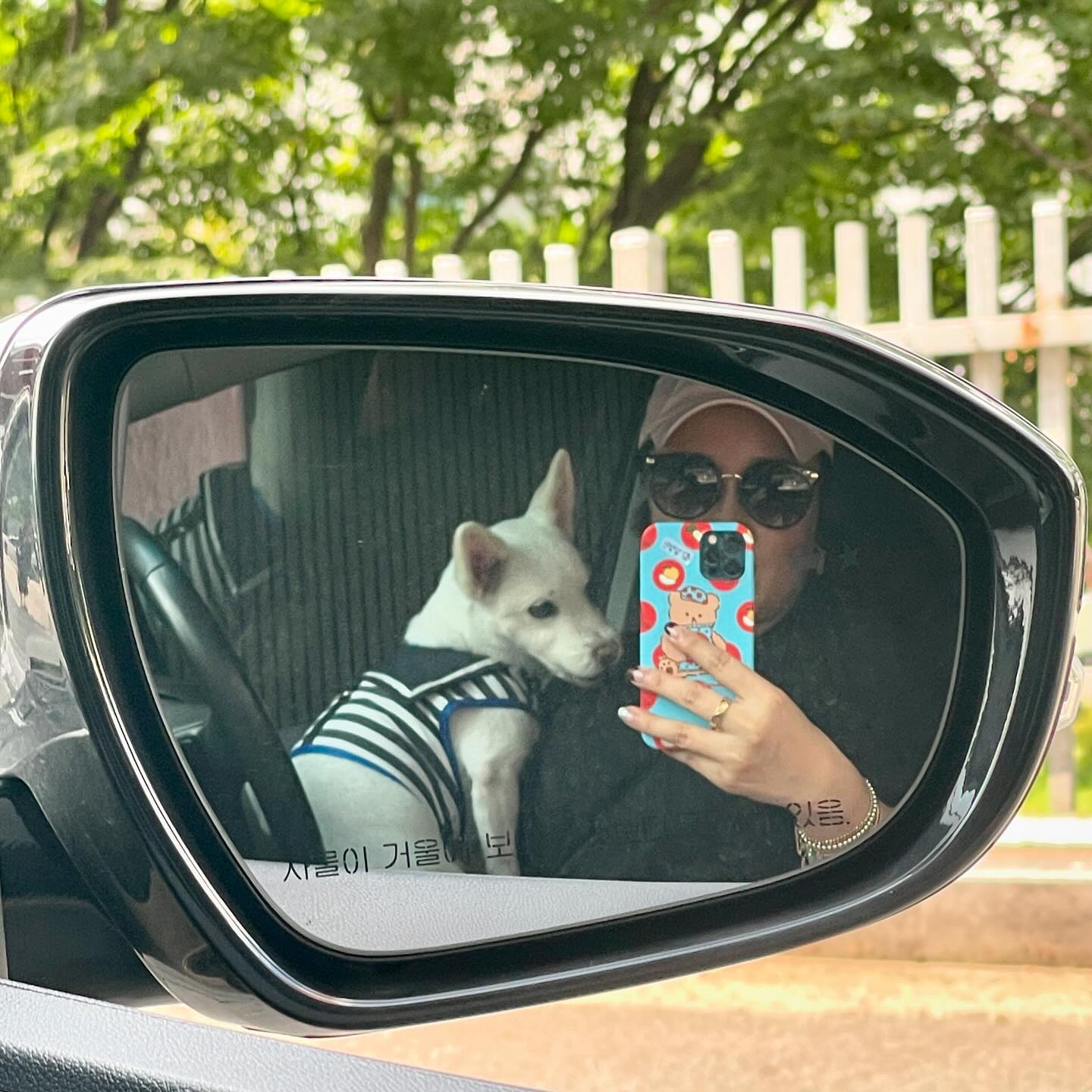 김찌루랑 꽁냥꽁냥
개아련 터지는 우리찌루
#보고싶다 다음주에만나💕
엄마랑 잘놀구 있어~^^
#개스타그램 #반려견
#사지말고입양하세요