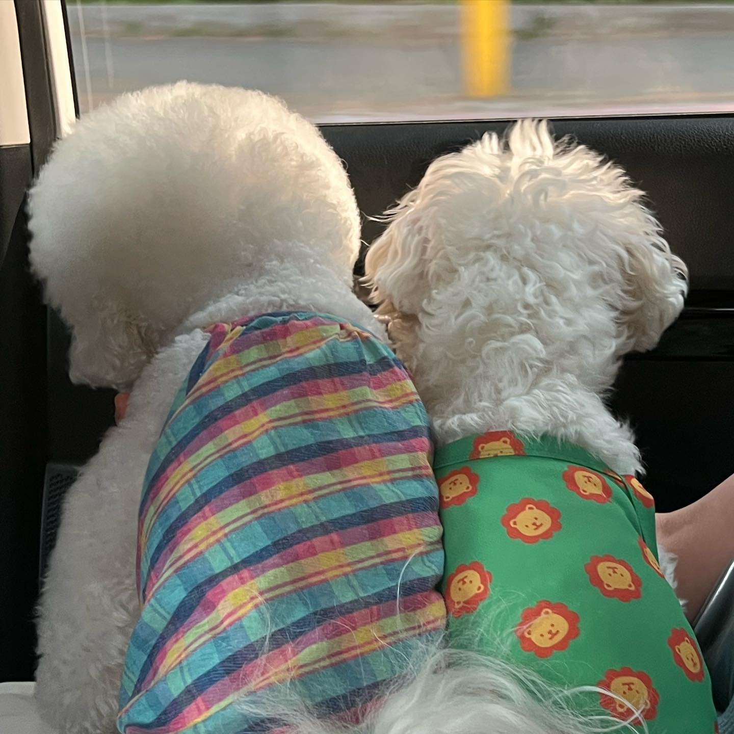 누나랑노는게젤조와😆👍🏻