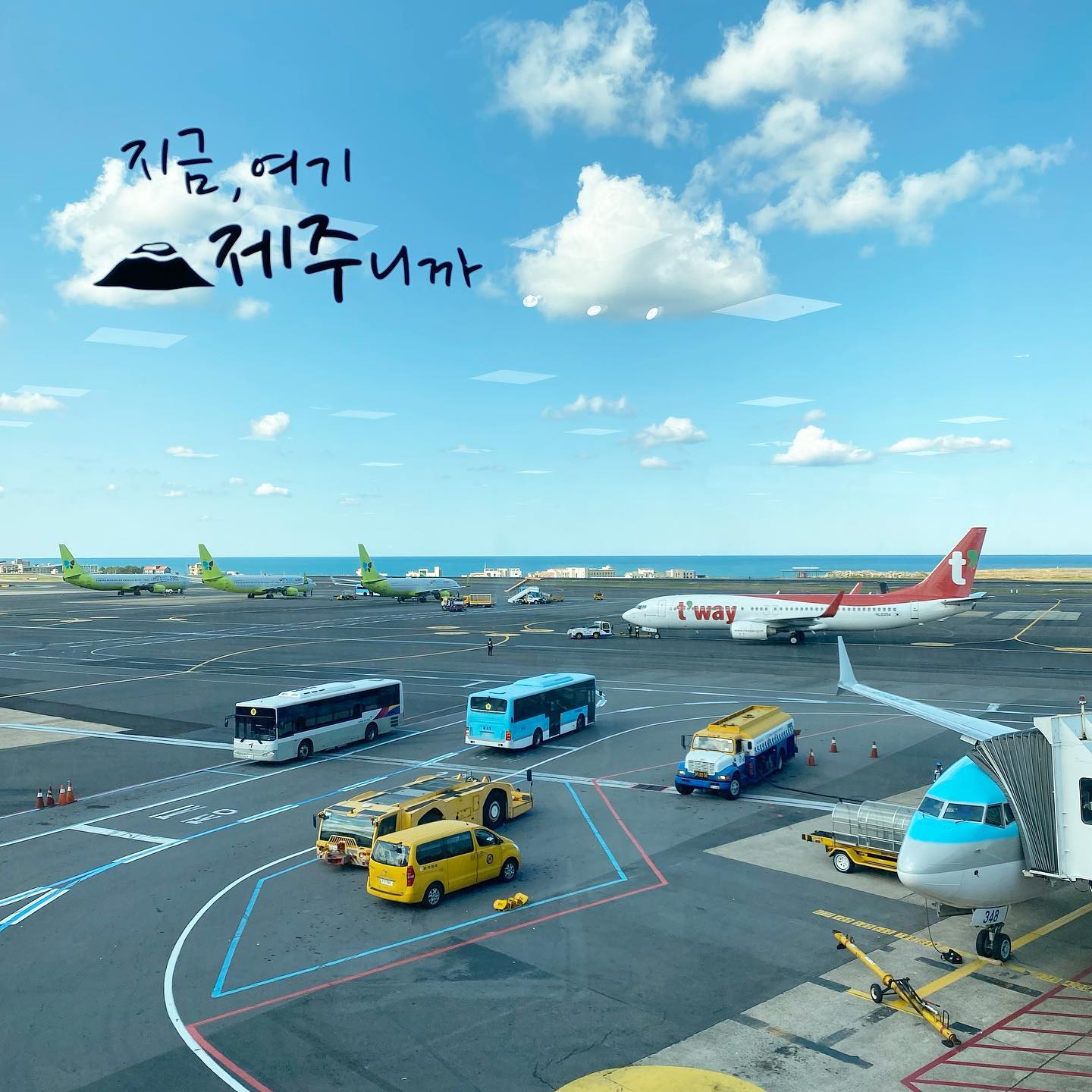 #집으로가는길 🛫 #제주공항맛집 
#식당민남매 👏🏻👏🏻👏🏻👏🏻👏🏻 꼭 가야하는집 🌼

❤️💙💚🧡💛