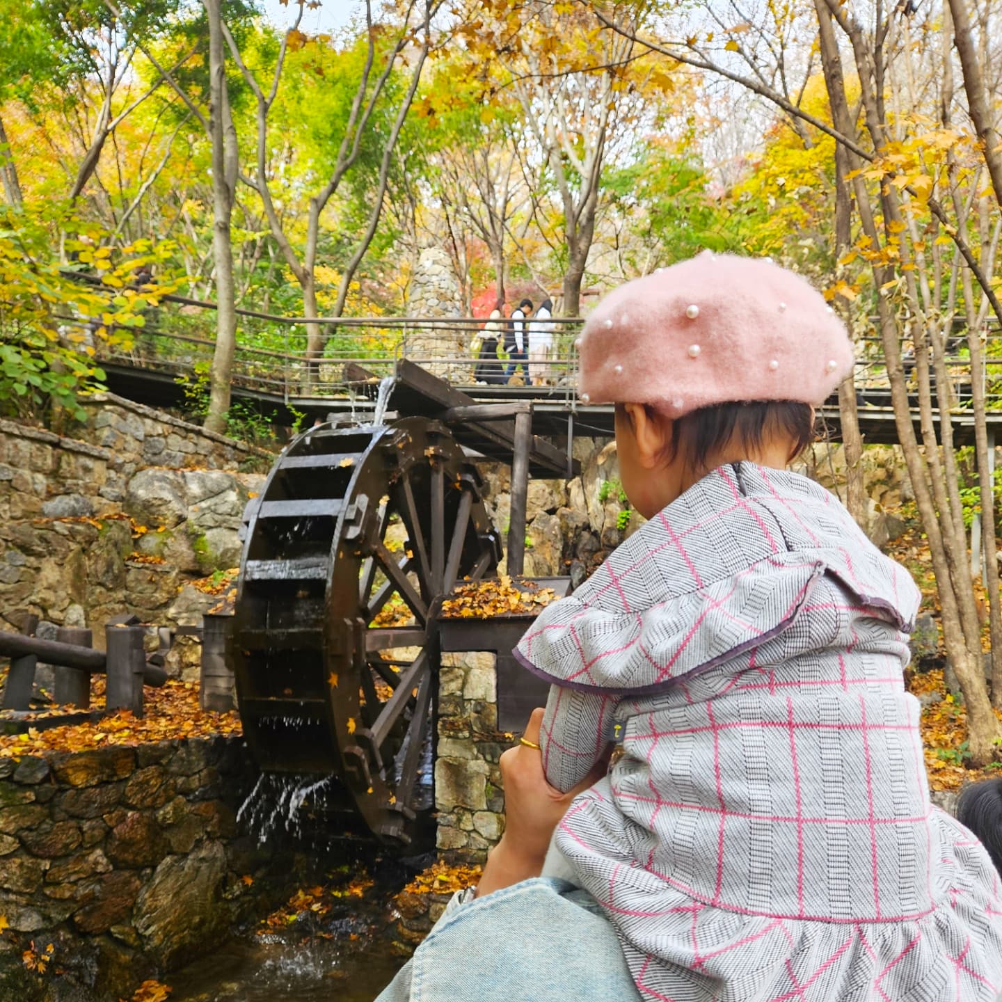 유니의 알록달록 꽃구경 단풍구경 🍁 🍂🌾

계절마다 들러 사계절을 느껴보겠노라
친정식구들과 늘 함께 오던 화담숲,
임신 전에도 만삭일 때도 (이땐 조금 무거웠..🫠)
스탬프투어 후 마그넷까지 꼭 수령해왔던 곳!
이젠 유니를 품에 꼬옥 안고 걸어보았다🌱

높은 곳 좋아하는 유니는 삼촌 목마도 타보고
잎들도 만져보고, 알록달록 꽃도 보고
사진도 찍으며 한참을 구경했다고~~~ㅎㅎ

가을엔 단풍뷰가 넘 예쁜 곳이고
겨울엔 자작나무 뷰가 넘 예뻐 산책하기 좋은 곳
미리미리 예매해두길 잘했다👏🏻👏🏻👏🏻

.
.
.

📍화담숲

#화담숲 #단풍구경 #단풍나무 #아기랑
#단풍명소 #단풍여행 #단풍나들이 #가을소풍
#단풍놀이 #단풍구경 #가족나들이추천