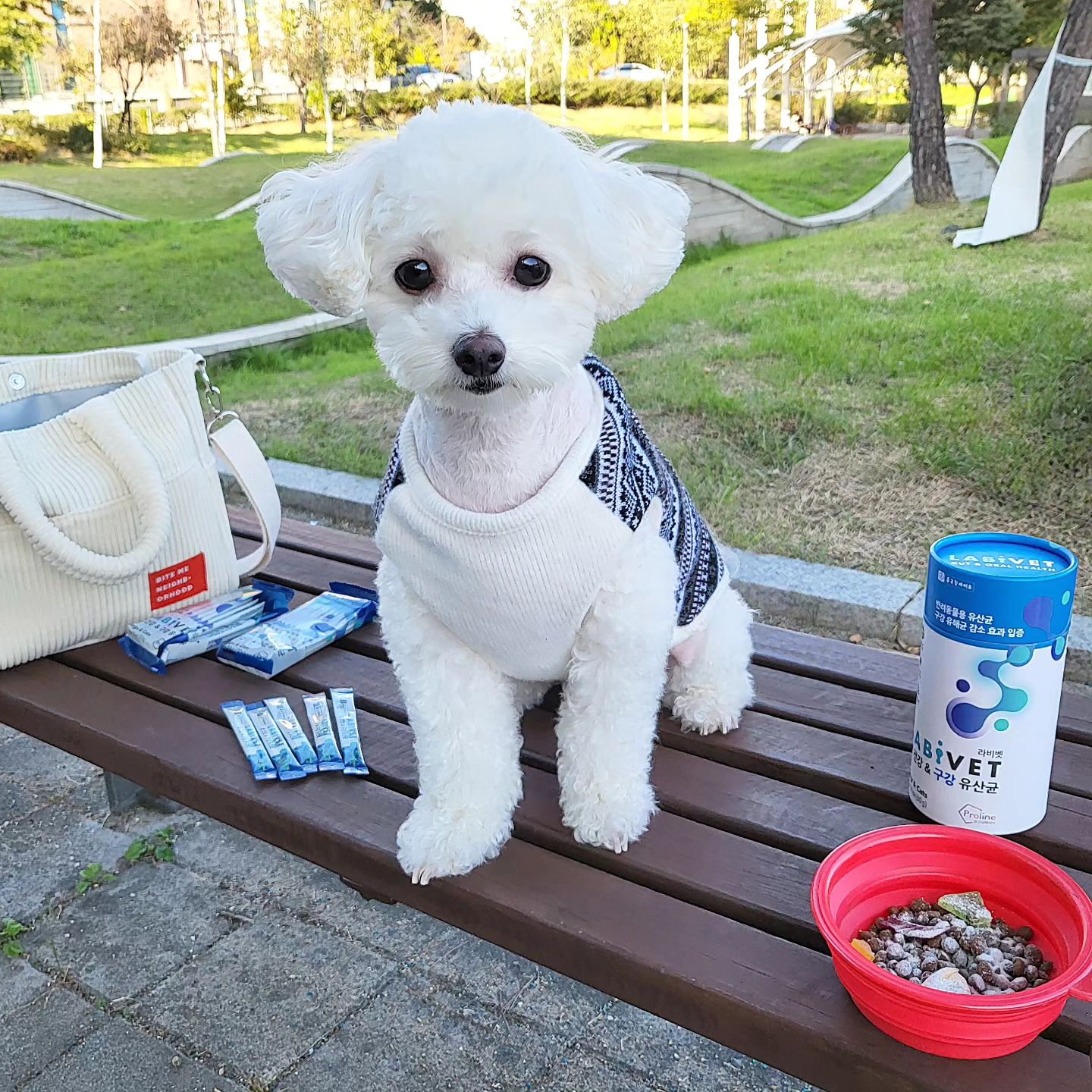 #광고 #라비벳몽바

작년에 국내에서 제일 많이 팔린
반려동물 유산균 라비벳이에요 💙

종근당바이오 유산균 유명한거 
모르는 사람 없짜나요~~~~

요새들어 과일에 폭 빠져서 
구강 관리에 더 신경쓰는 몽바인데 
구강 건강 & 장 건강을 1석 2조로 
챙길 수 있으니 말해모해〰️ 1일1포☝🏻
이거 먹고 입냄새 안나요!!

🔹️밖에서도 쉽게 먹을 수 있는 스틱 이지컷
🔹️식약처에서 인정한 보장된 유산균 
🔹️종근당만의 프롤린공법 사용
🔹️고기분말 없는 맛있는 유산균 

🏷#몽바유산균 : labivet.official #라비벳 #1위강아지유산균 #종근당라비벳 #강아지입냄새 

자세한 내용은 홈페이지 참조해주세요
https://bit.ly/3WY3PYs