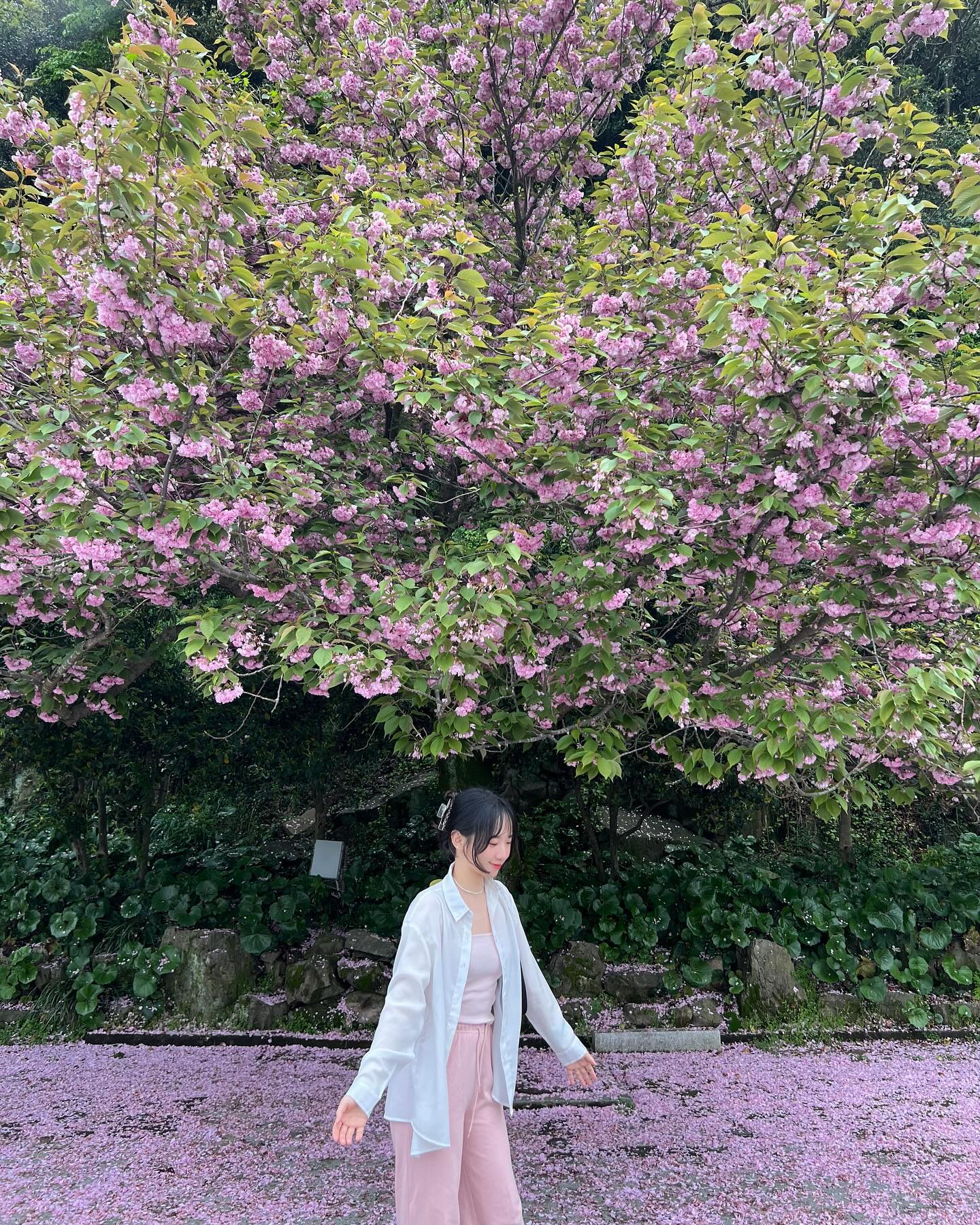 🐬 2024.04.22 #여수여행 🐬

2년전에 이어서 또 온 오동도🌺
그때 한 번 와봤다고 잘 다니는 우리
포토존만 보이면 찍어준다고 난리인 혀누 덕분에
인생샷도 잔득 얻어감 ㅎㅎ