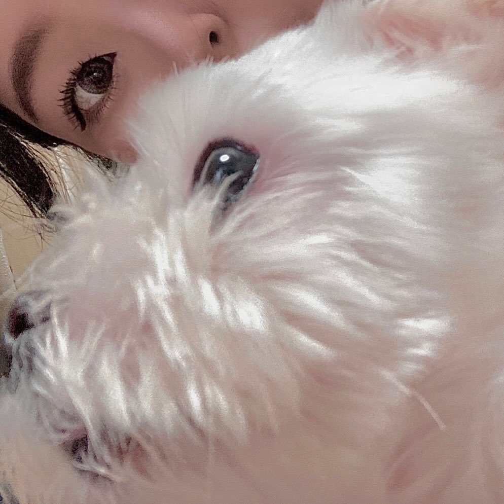 내 이름? 구름인뎅 🐶