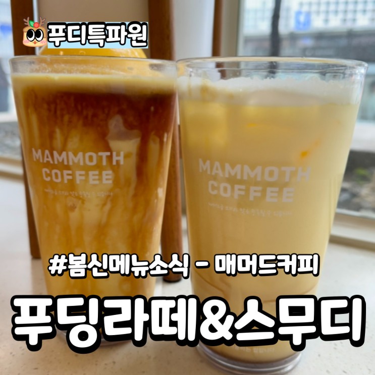 매머드커피 봄신메뉴 커스터드푸딩라떼 꿀우유크림도넛 후기