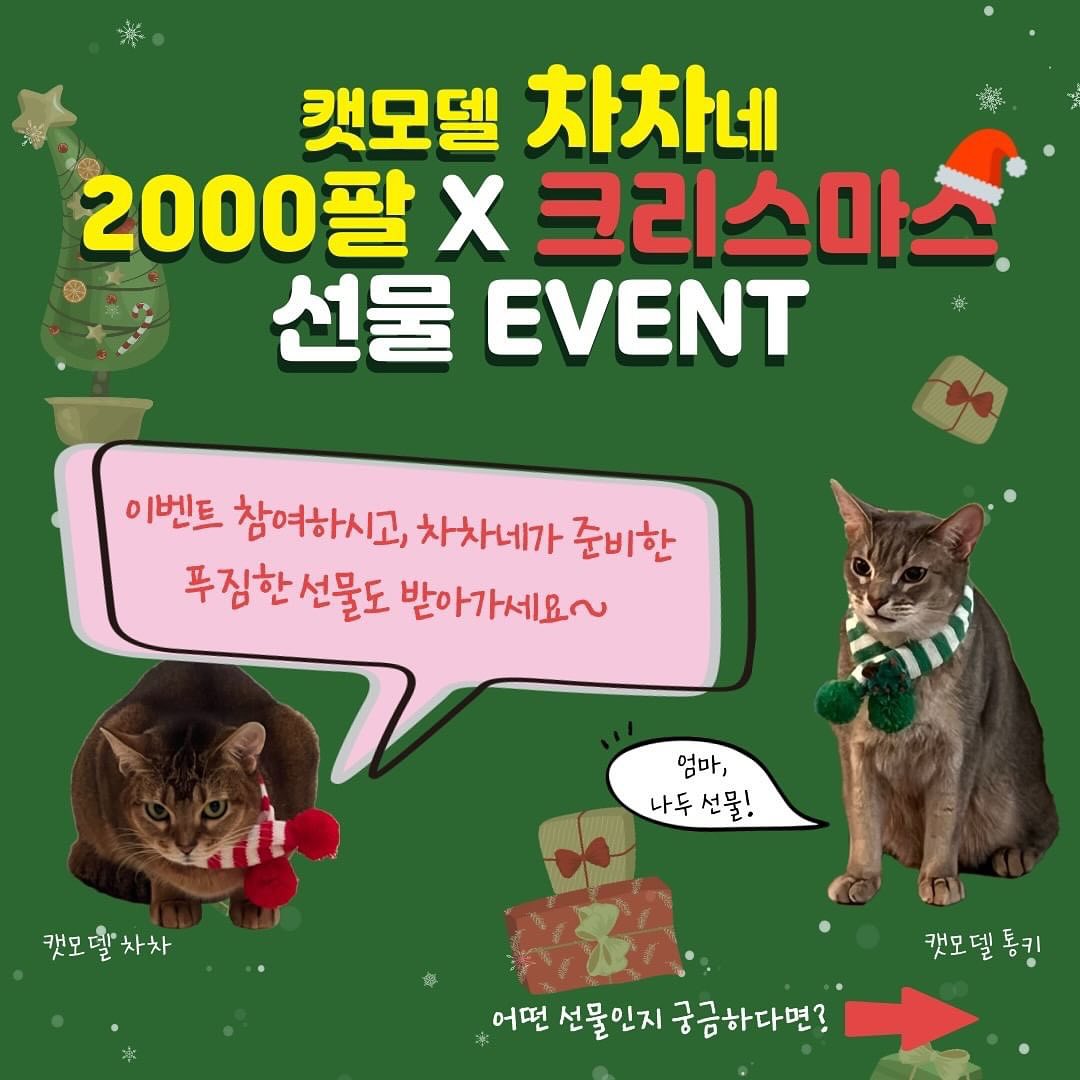 Posted withregram • chacha_hana8216 ⠀
chacha_hana8216
#2000팔로워이벤트 #팔로워이벤트 #크리스마스이벤트 #고양이모델차차
🎁 캣모델 차차네 2,000팔로워 X 크리스마스 이벤트 🎁
⠀
안녕하세요, 인친님들:)
캣모델 차차와 아비시니안 가족을 사랑해주시는 이웃들이 어느덧 2,000명이 훌쩍 넘었어요🥰
조금 늦었지만, 크리스마스를 앞두고 감사의 마음을 담아 푸짐한~ 선물🛍️들을 준비해보았어요💝
지금처럼 차차네를 많이 알려주시고, 사랑해주세요!!😽
⠀
🎯 참여 조건
1. 기존 인친님들
2. 신규 인친님 : 고양이(집사) 계정
3. 비공개 계정, 이벤트전용 계정, 리그램계정은 참여불가
⠀
🎯 당첨 선물
1. [차차플라워]집사가 직접만든 100%핸드메이드, 크리스마스 미니트리 화분(페이퍼플라워/LED무드등) : 1명
** 프로필 링크 > '차차플라워 크리스마스 에디션' 페이지에서 상세히 보실 수 있어요!
2. 요즘 SNS에서 난리난 "LED 오로라 크리스마스 트리" (50cm 사이즈) : 1명
3. 사조 Venti 고양이 영양제(덴탈&치석) 1Box : 1명
4. 사조 Venti 고양이 영양제(요로건강) 1Box : 1명
5. 펼치는 도넛 베드 스크래쳐 : 1명
6. 사조 Venti for 20 이뮨서포트 전연령 고양이 예방식 사료(3.6kg) : 1명
7. 고양이 회오리 터널 : 1명
8. 리스펫 고양이 스킨케어 수딩크림 : 1명
9. 플라고 고양이 칫솔 : 1명
⠀
🎯 참여 방법
1. 캣모델차차네 팔로우 하기
2. 이벤트 게시물 "좋아요" & 리그램 (리그램한 게시물 이벤트 기간동안 유지 필수!)
3. 이벤트 게시물 댓글에 "참여완료" 및 차차네에 축하메시지 & 쥔님 소개 작성하고 냥친구들(인친) 소환!!
++ 냥친구들 많이 소환할수록 당첨확률 🆙
⠀
🎯 이벤트 일정
1. 참여기간 : 11월 26일 ~ 12월 6일
2. 당첨자 발표 : 12월 7일
3. 선물 발송 : 12월 8일 일괄발송
** 피드로 발표 후, 개별 DM 발송 예정
⠀
차차네 가족과 두 집사는 세상 모든 냥이들과 집사님들이 세상 가장 행복한 크리스마스를 보내시길 바래요:)🎄🧑‍🎄
차차네를 사랑해주시는 모든 인친님들과, 이벤트를 통해서 만나게될 새친구들 모두 환영하고 감사합니다🥰
앞으로도 신나는 일상과 이벤트로 재밌게 소통하고 친하게 지내요~
⠀
#고양이모델 #캣모델 #cat #고양이그램 #catgram #냥스타그램 #catstagram #냥이스타그램 #kittenstagram #고양이소통 #catcommunication #냥이 #kitten
#猫 #猫咪 #萌猫 #猫奴 #小猫 #猫儿 #阿比西尼亚猫 #喵喵人生
#ねこ #アビシニアン #猫モデル #ねこ部 #子猫