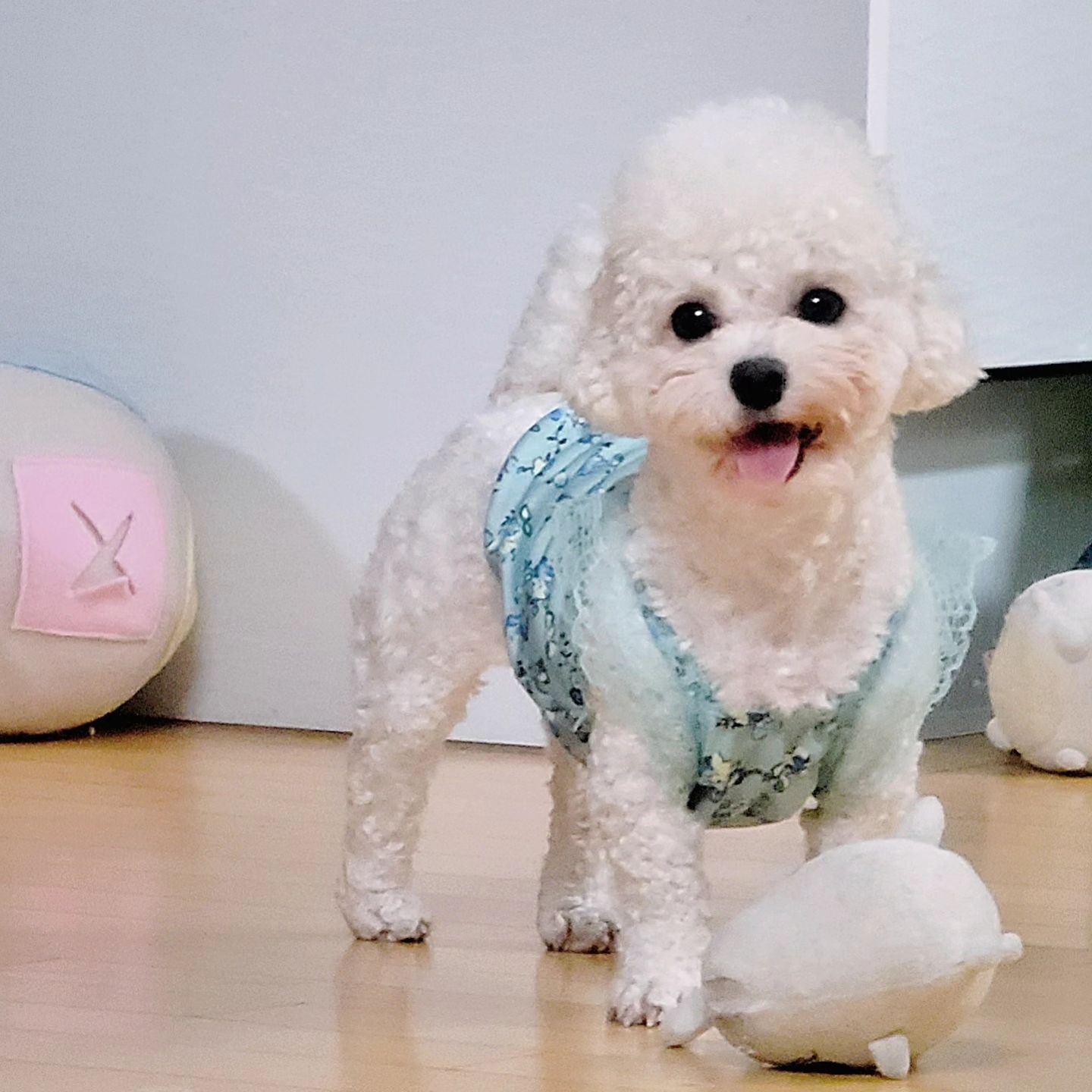 요즘 우래기 넘 예뽀야 🫶🏻🫶🏻