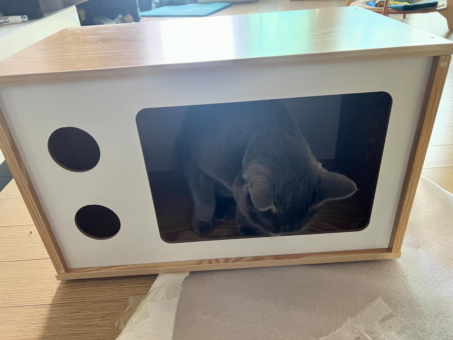 허깅펫츠 댕이와냥이 고양이 하우스 테이블

#허깅펫츠 #냥이가좋아 #러블 #러시안블루 #고양이 #猫 #ねこ #cat

hugging_pets1
