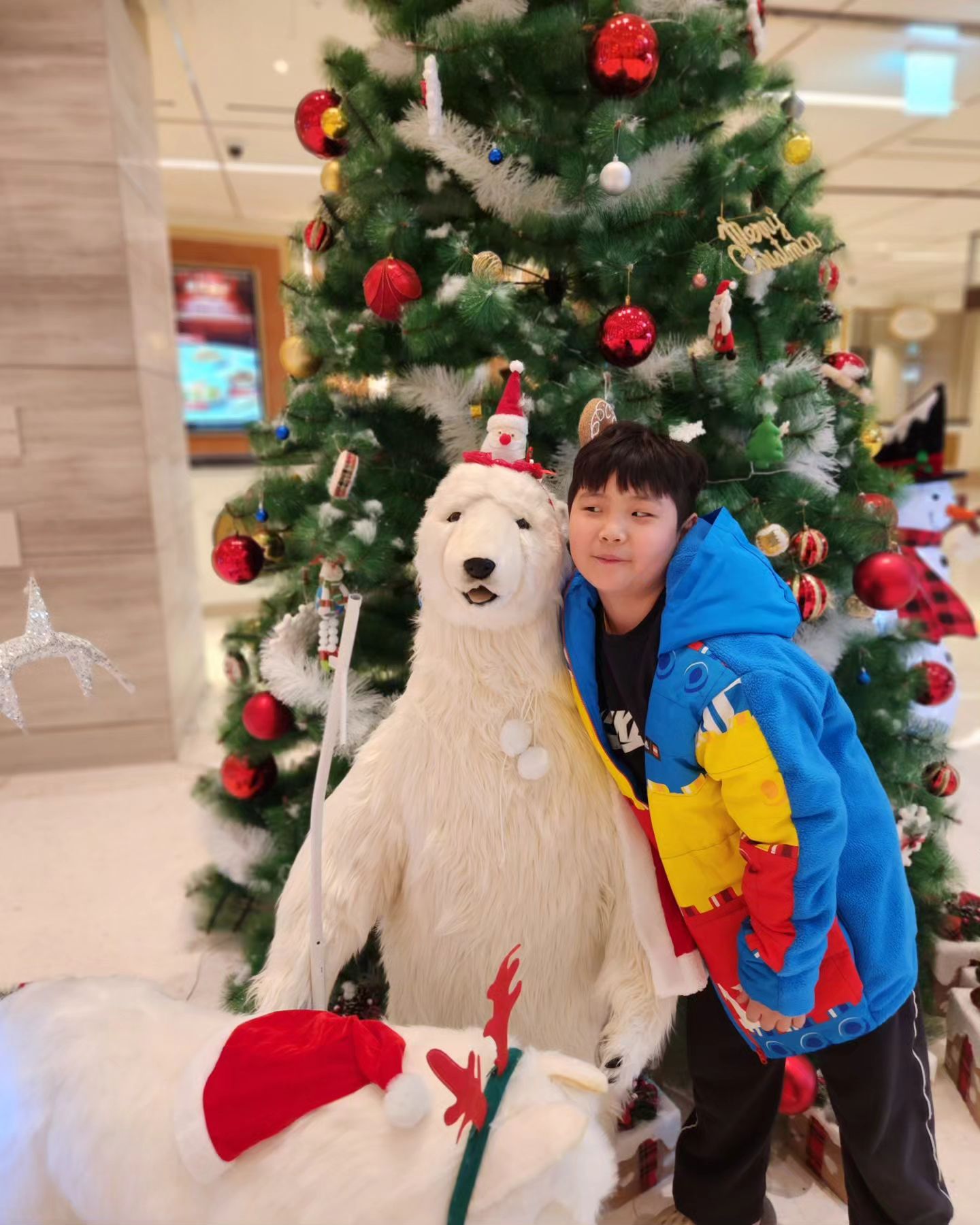 서울처럼 화려하고 북적이는 크리스마스를 못본지 10년이 넘었고 이제는 이런 분위기가 더 익숙한 느낌
남편없는 이브엔 홀로 보졸레누보로
크리스마스엔 조촐하게 스테이크로 분위기 내보기

#2023이일주일도남지않았다니
#조촐한우리의크리스마스파티
