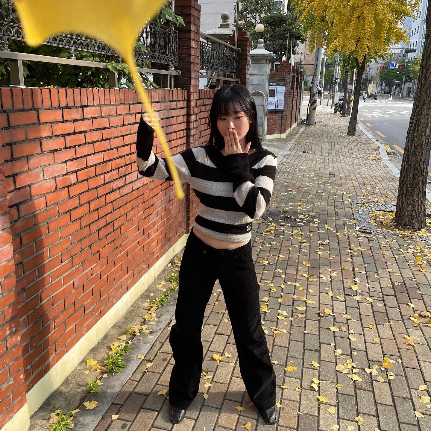 가을이야요