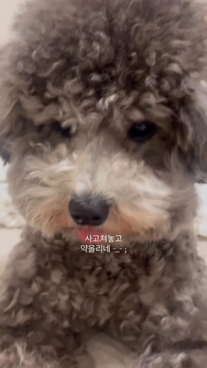 진짜 너무 싸가지가 없으신거세요 🙏🏻