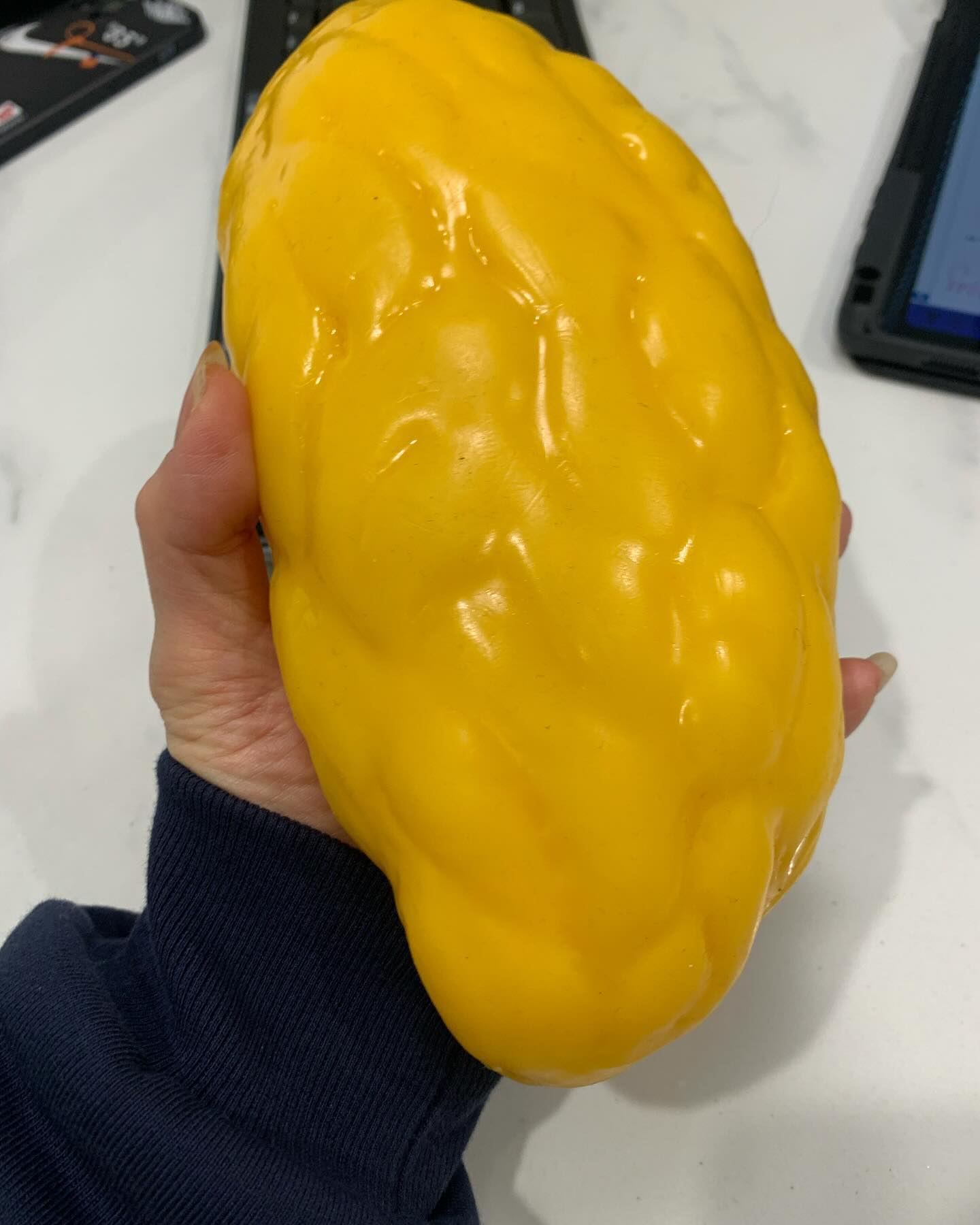 복부에만 현재 이게 6개 있다고 합니다만…. #😂😂😂😂