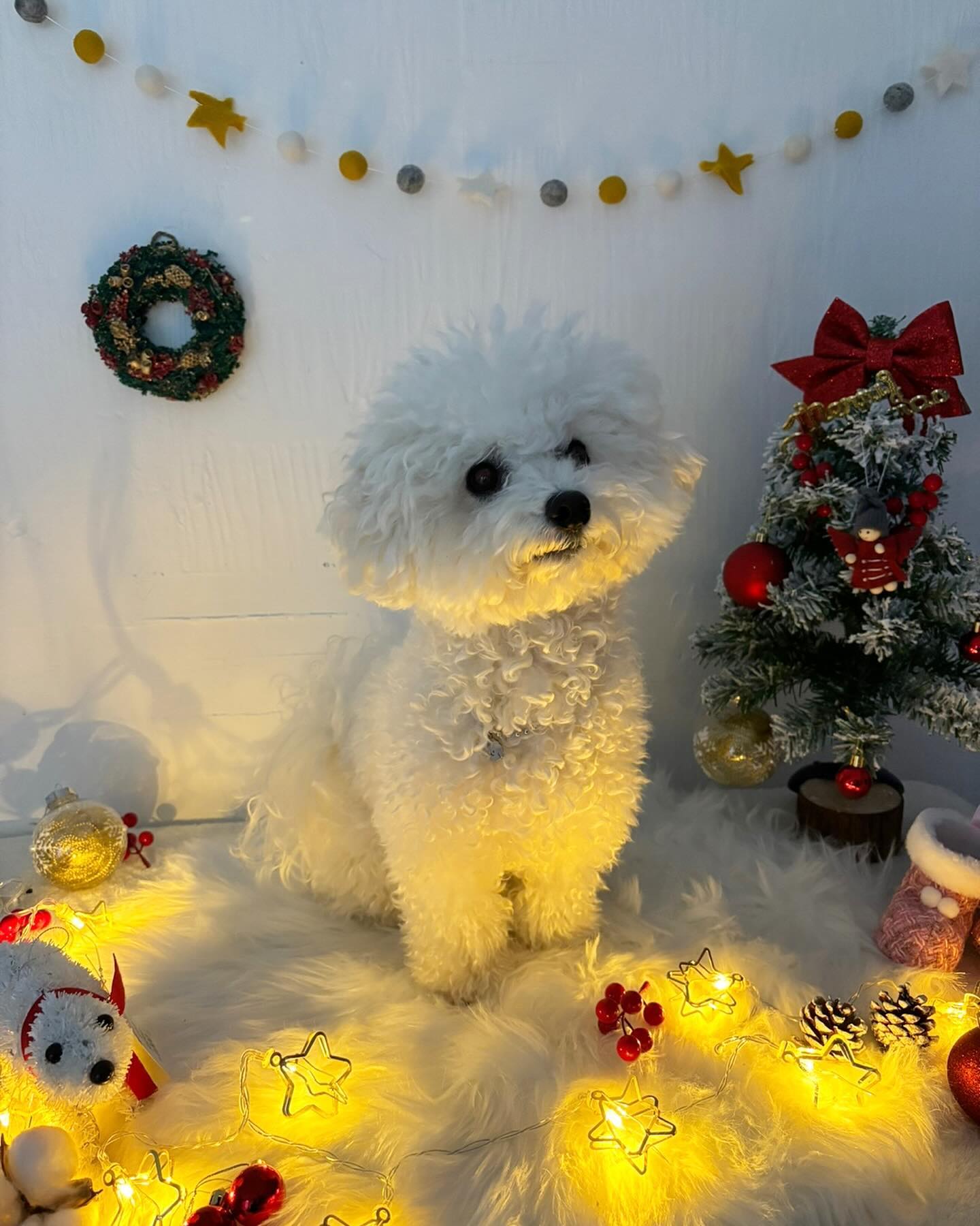 헤헤 유치원에서도 선샌님이랑 크리스마스 사진 찍었당 헤헤🎄