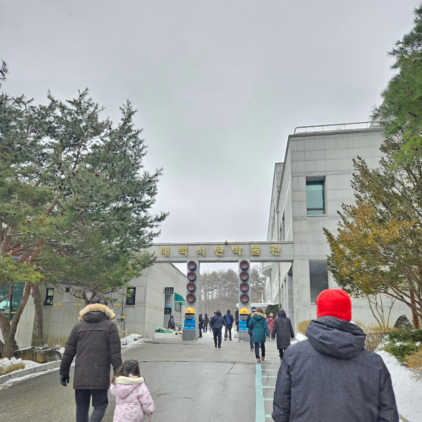 #태백산석탄박물관 
.
아이와 #태백산눈축제 보러 갔다가 들렸는데
볼거리가 많아서 즐거웠다
.
자연 #형광물질 이쁘네
.
#암석속모기
.
기술이 더 발전하면 #쥬라기공원 가능해질려나?
.
#태백산 #석탄박물관