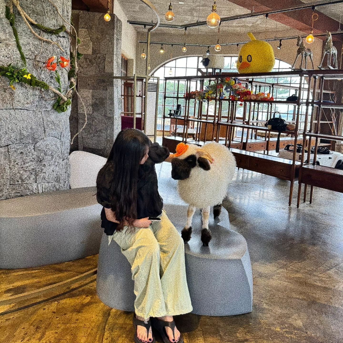 인형 아니구 진짜 양 🐑