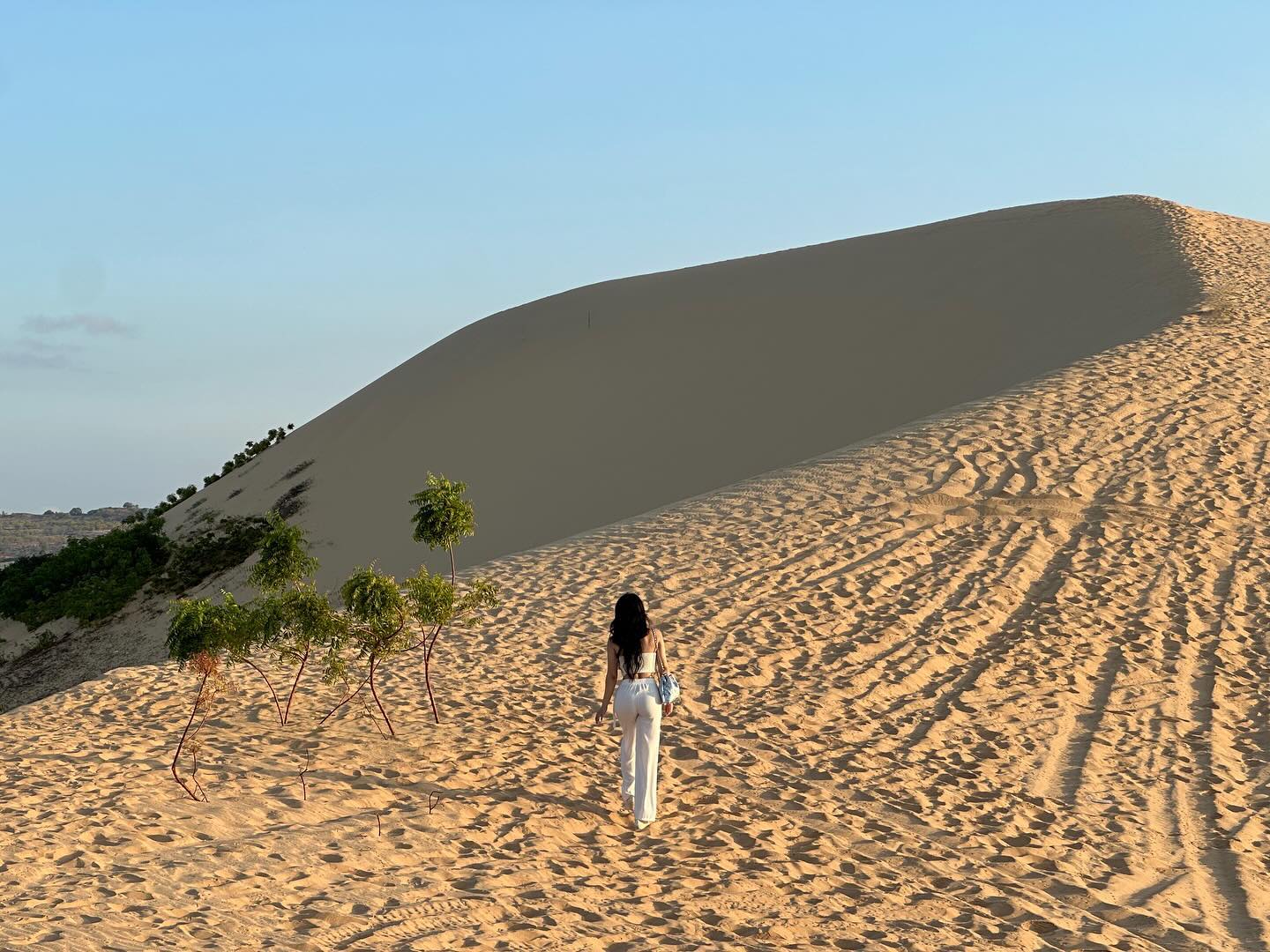 White Sand Dunes🌵