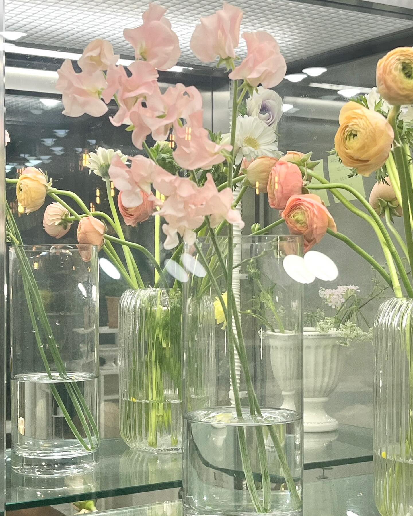 기다렸어요 #봄 💐🌸💗

#spring #pringtemps #whiteday