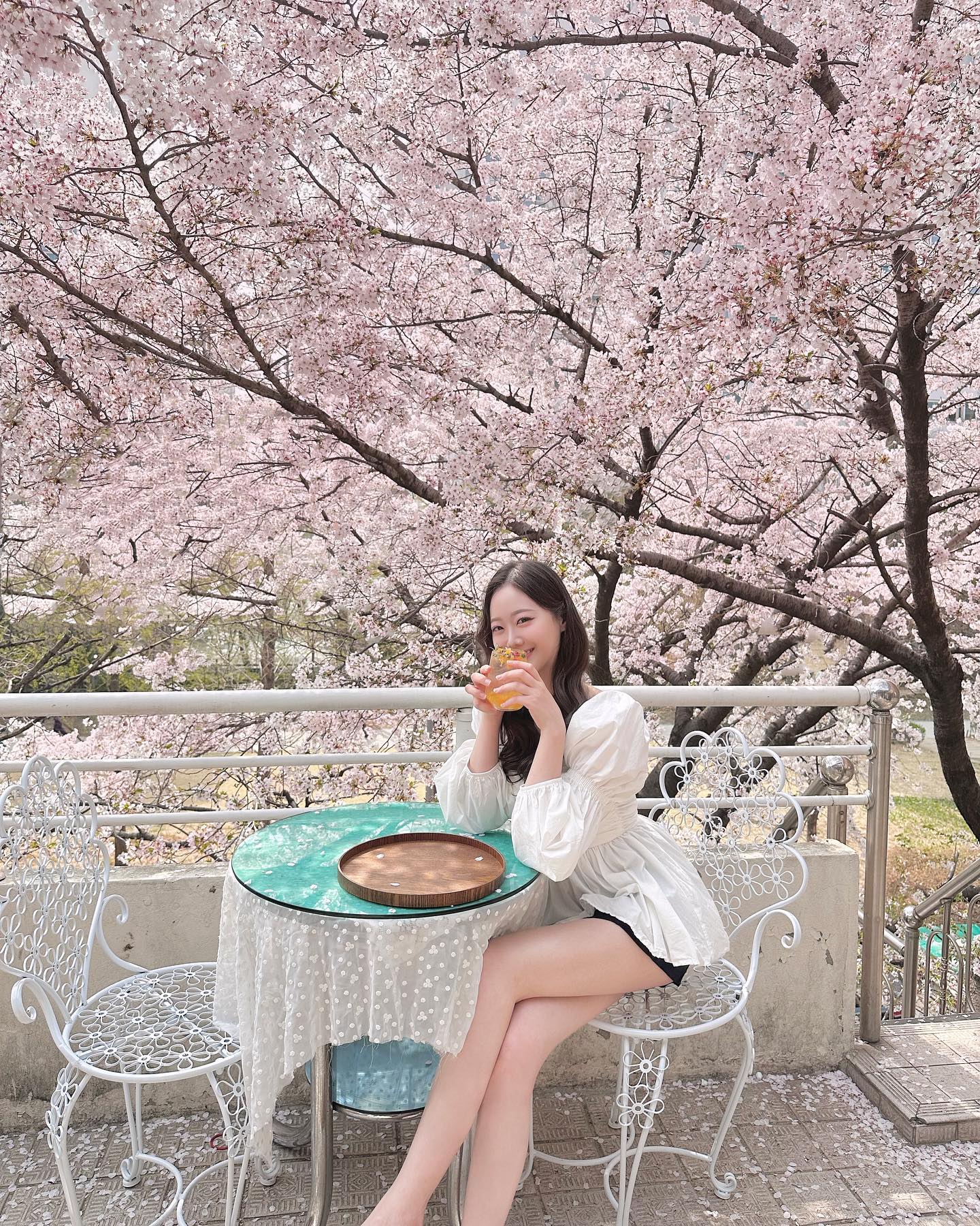 커피보단 에이드🧡🍊
벚꽃이 너무 예쁘게 펴서 눈호강🌸 
봄이 좋긴 조쿠나🫶🏻🫶🏻
#연남동#벚꽃구경